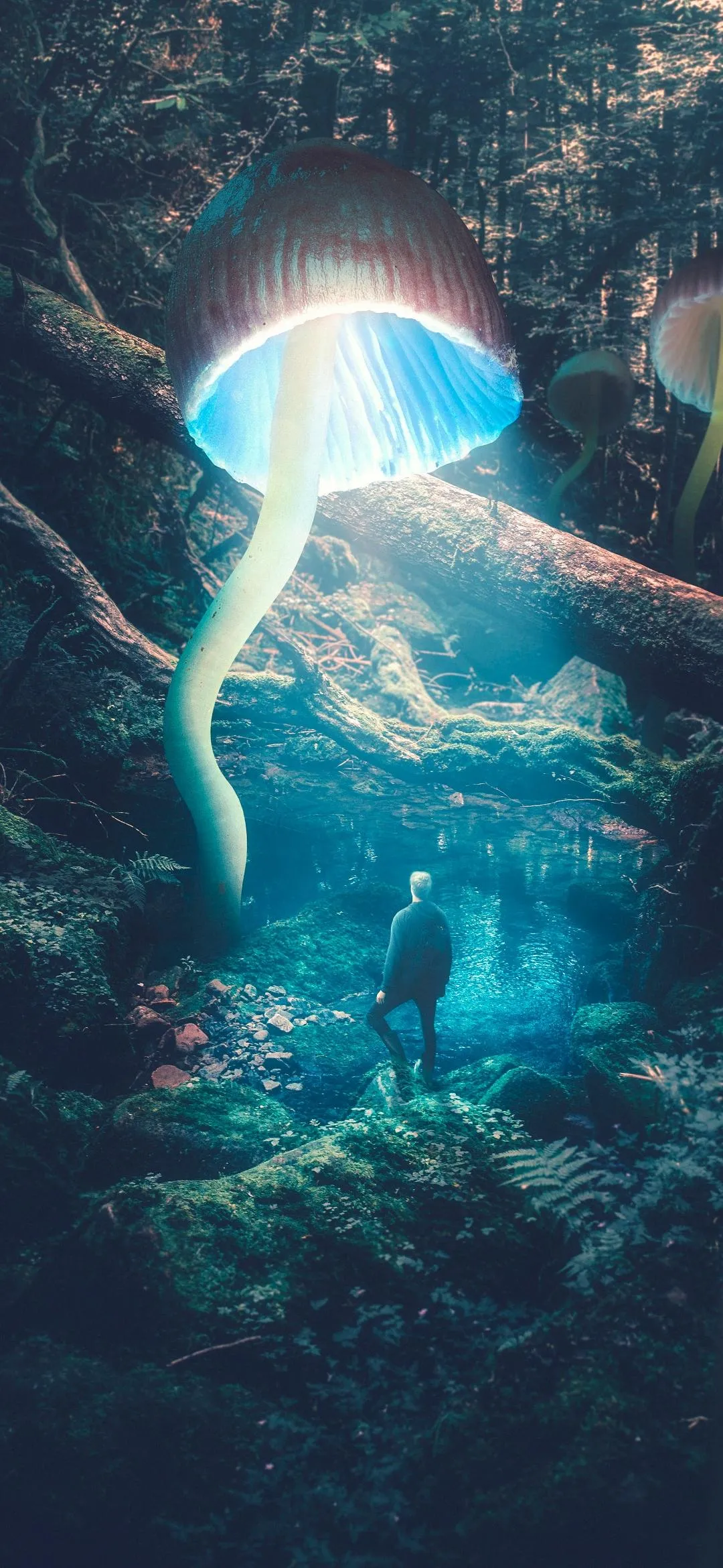 Jellyfish floating in deep ocean glowing with blue light