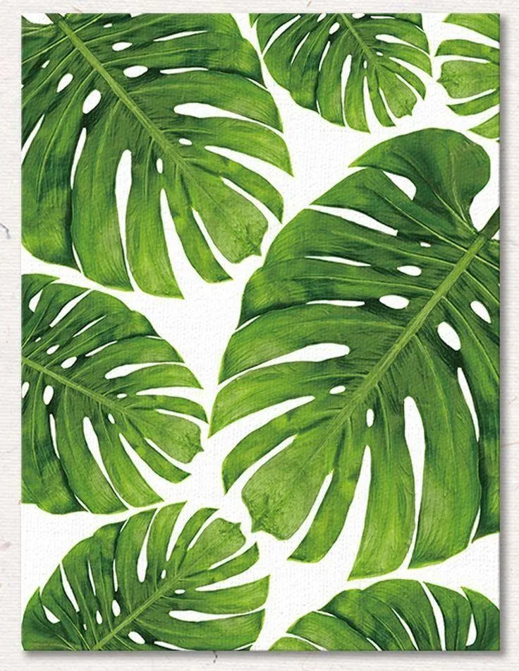 Large green tropical leaves on a white background art HD