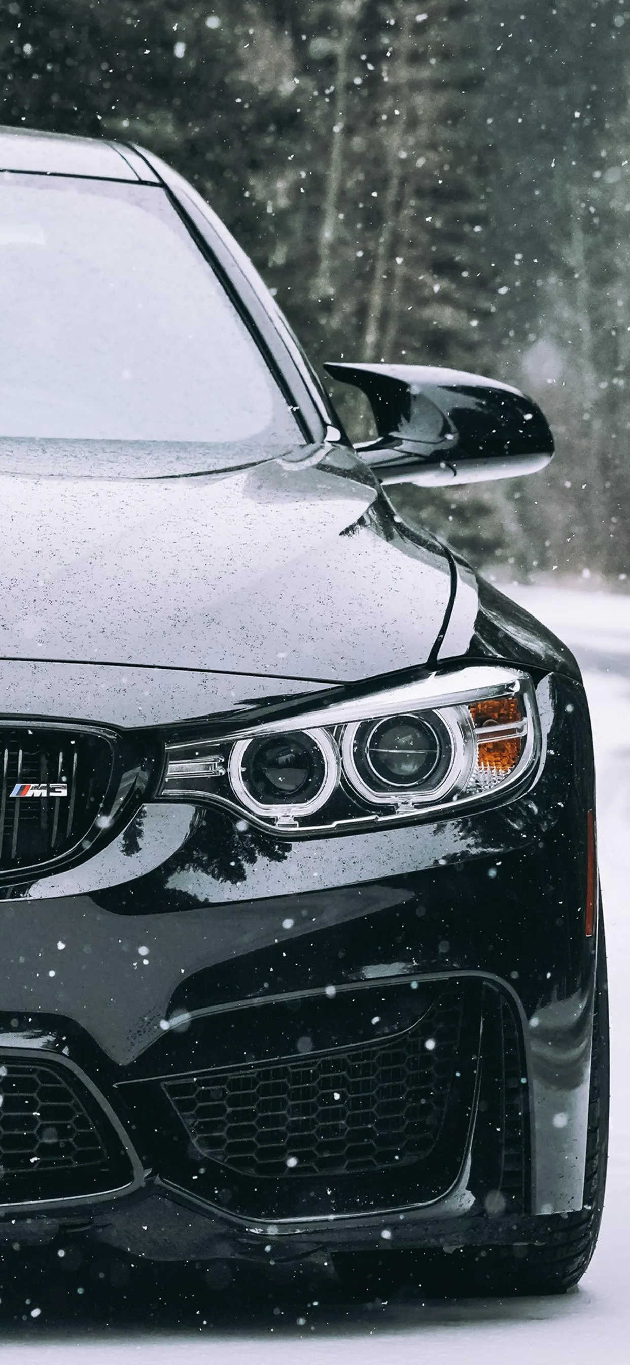 Luxury Sports Car Covered in Snow Parked Near Trees
