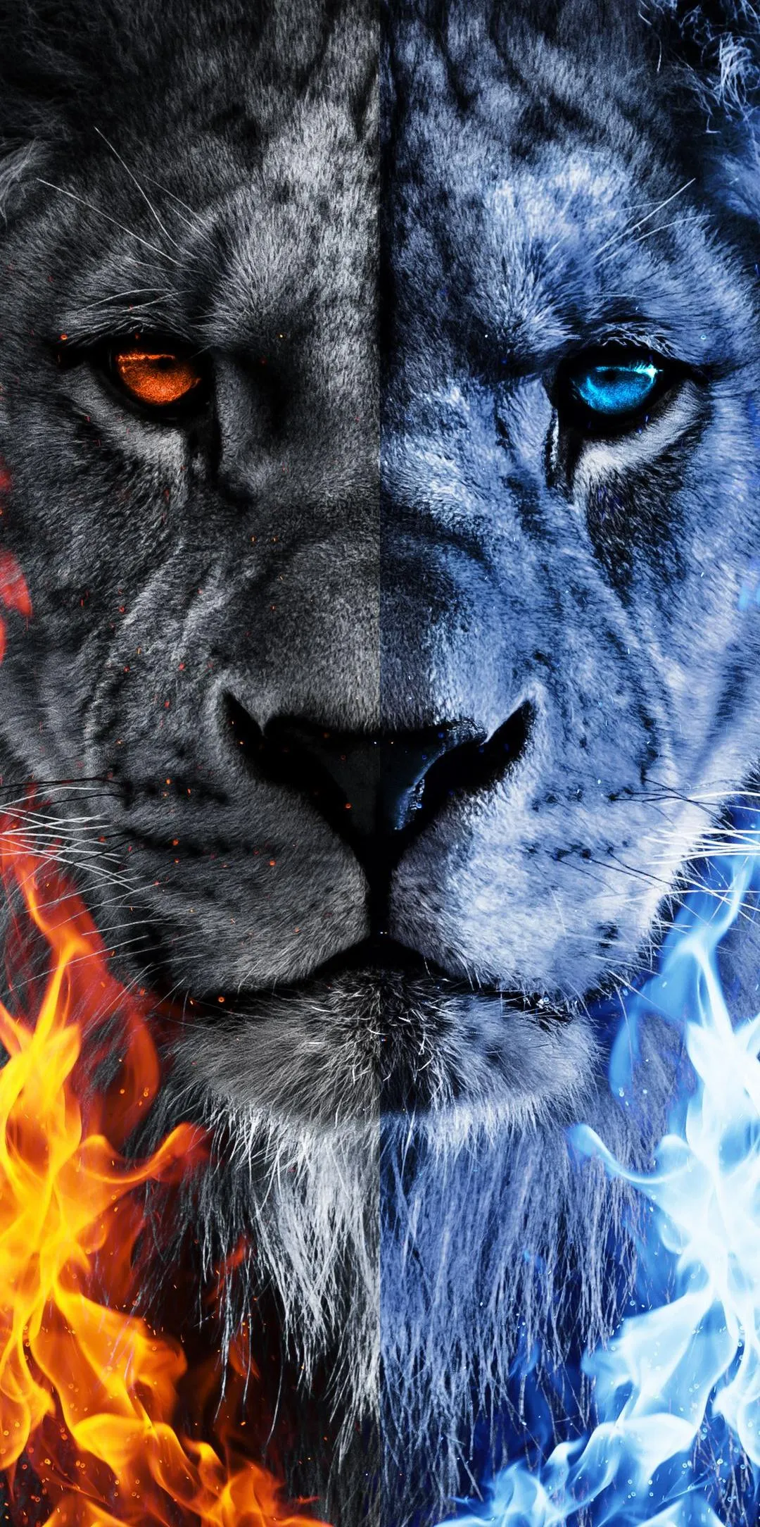 Majestic Lion Face in Blue and Orange Fantasy Firelight
