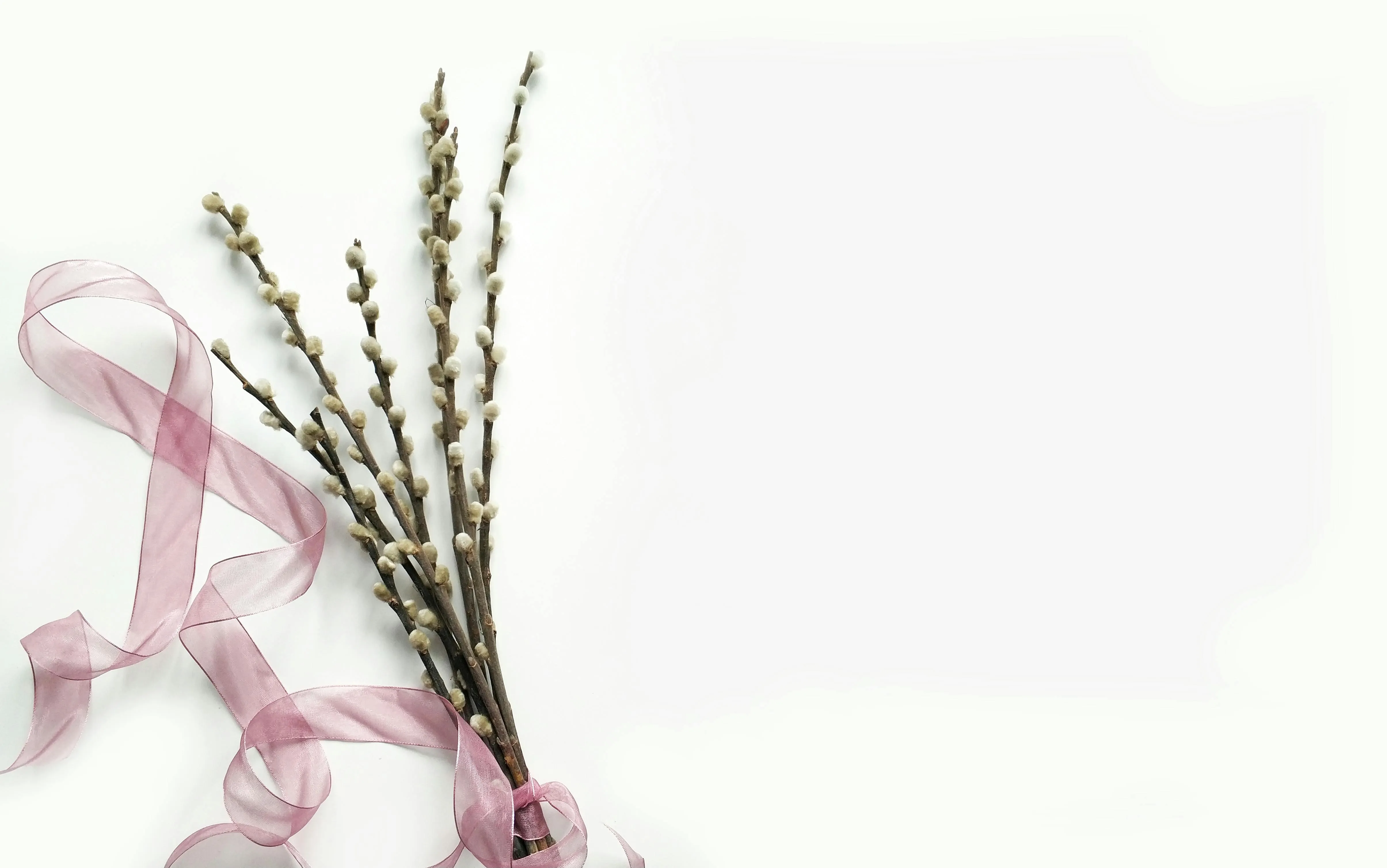 Minimal floral scene with ribbon and delicate twigs image