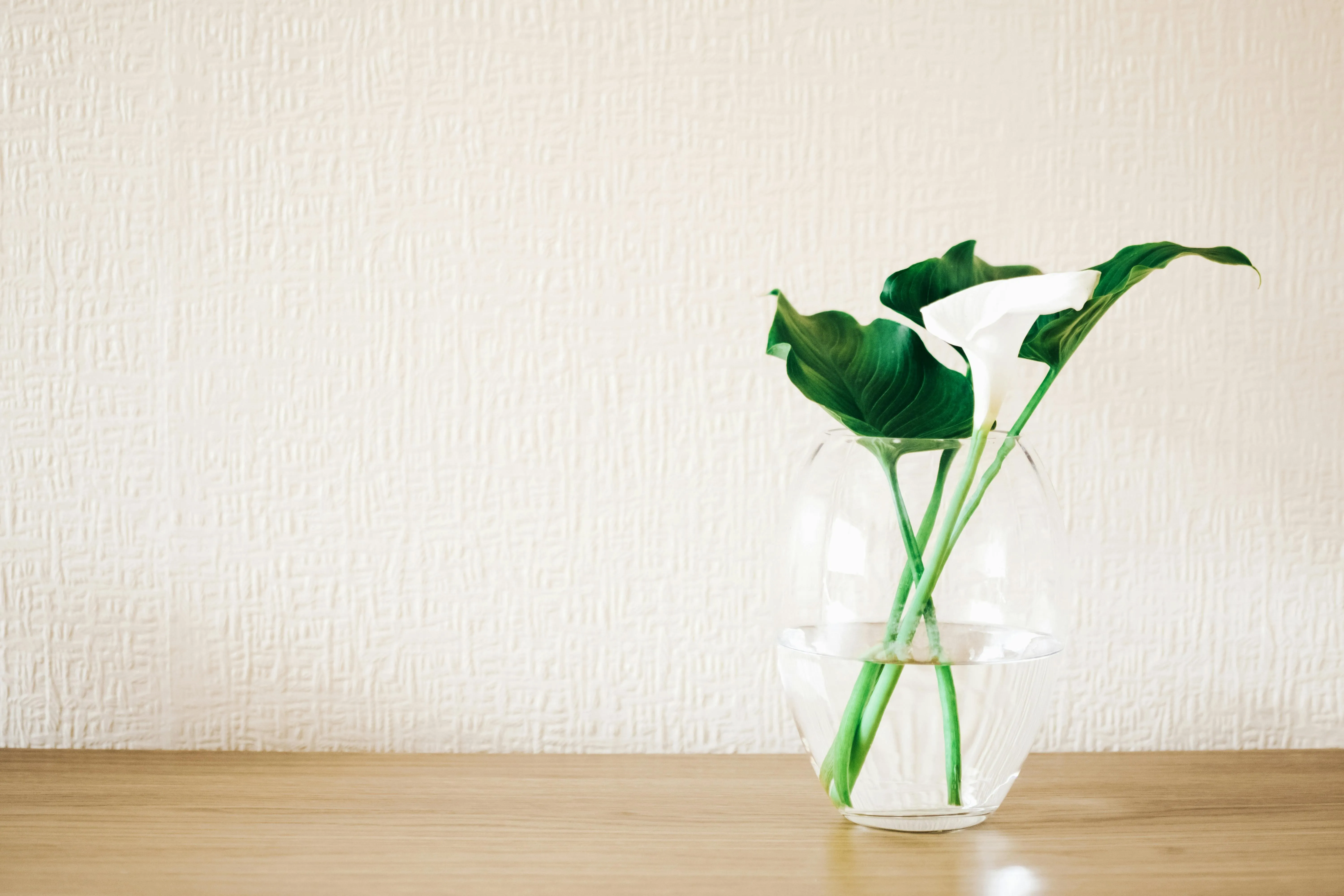 Minimal glass vase with green leaves on a wooden shelf image