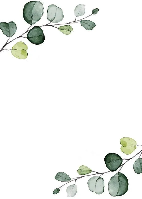 Minimal white background with green leafy branches design