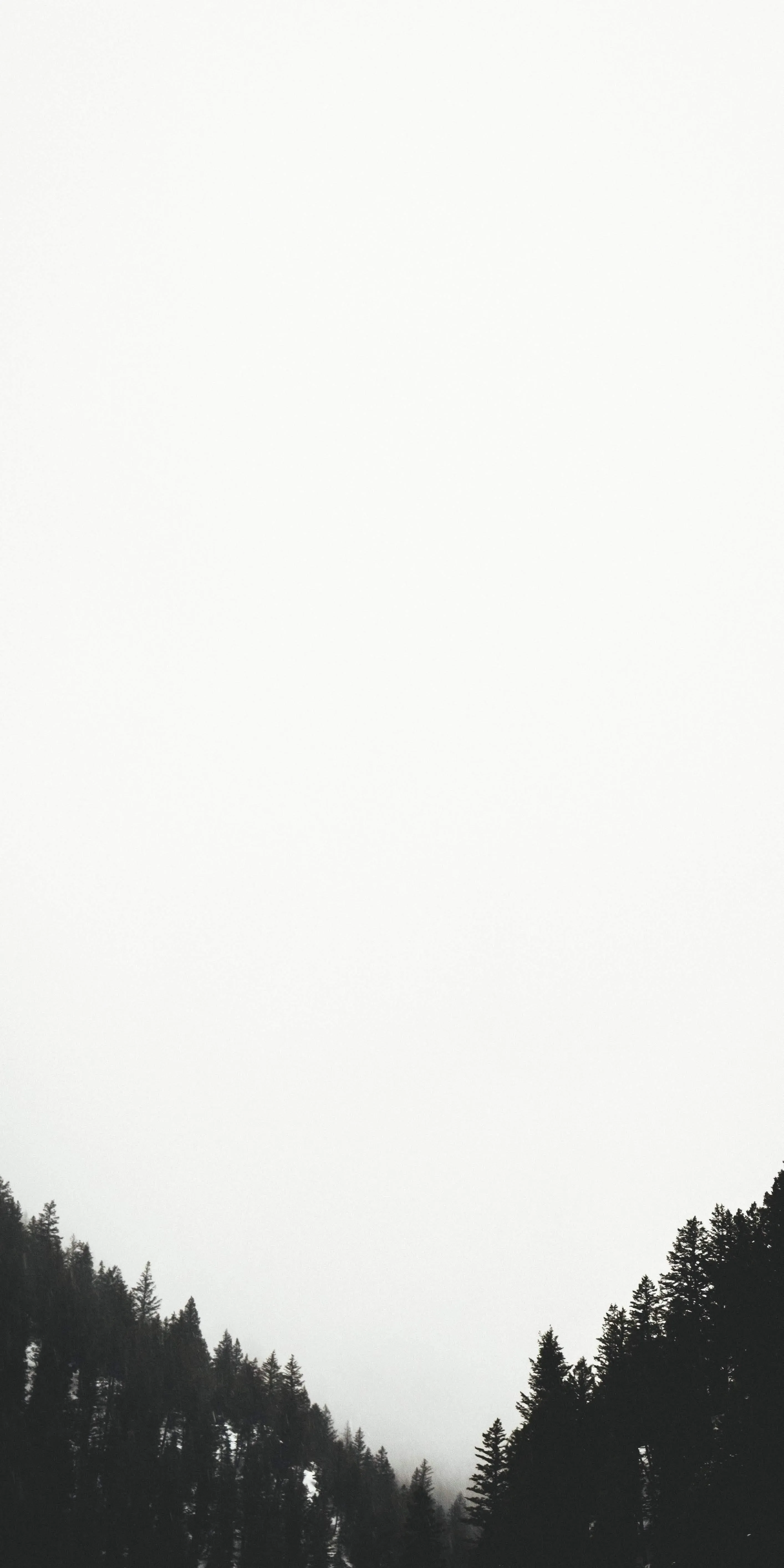 Minimalist Mountain Silhouette with White Fog Background