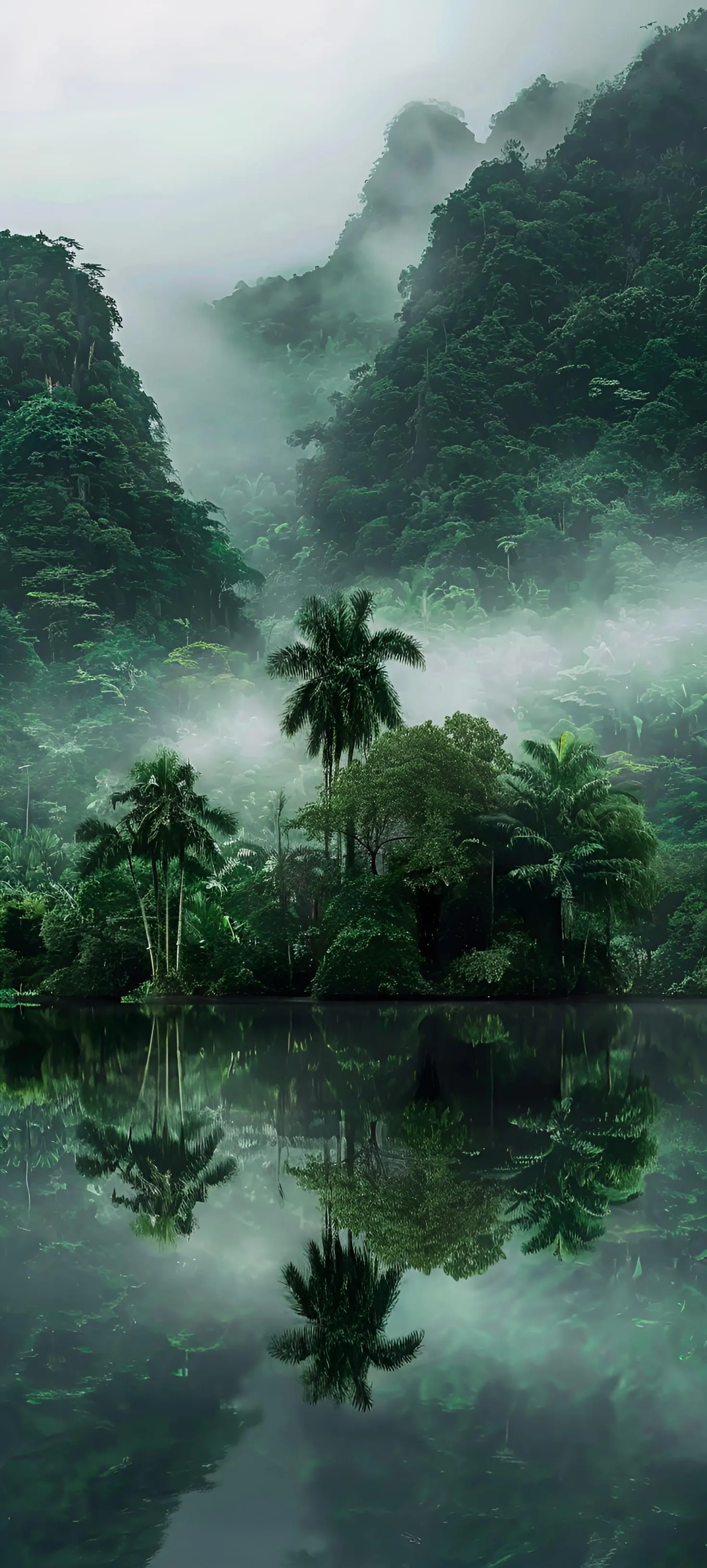 Misty Forest Hills with Dense Green Tropical Trees Wallpaper