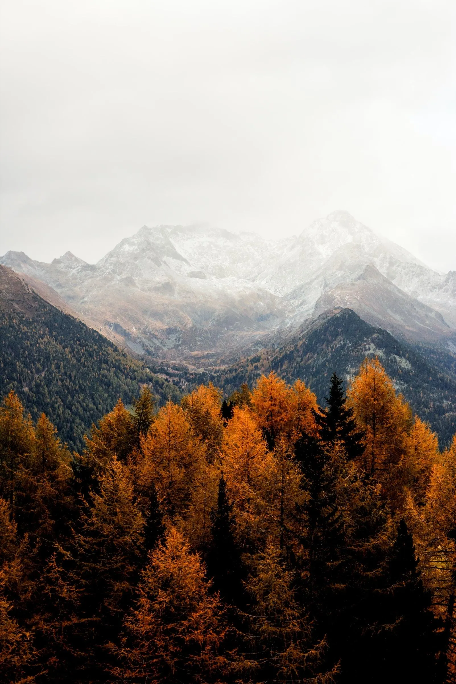Misty Mountain Range with Autumn Forest in Foreground