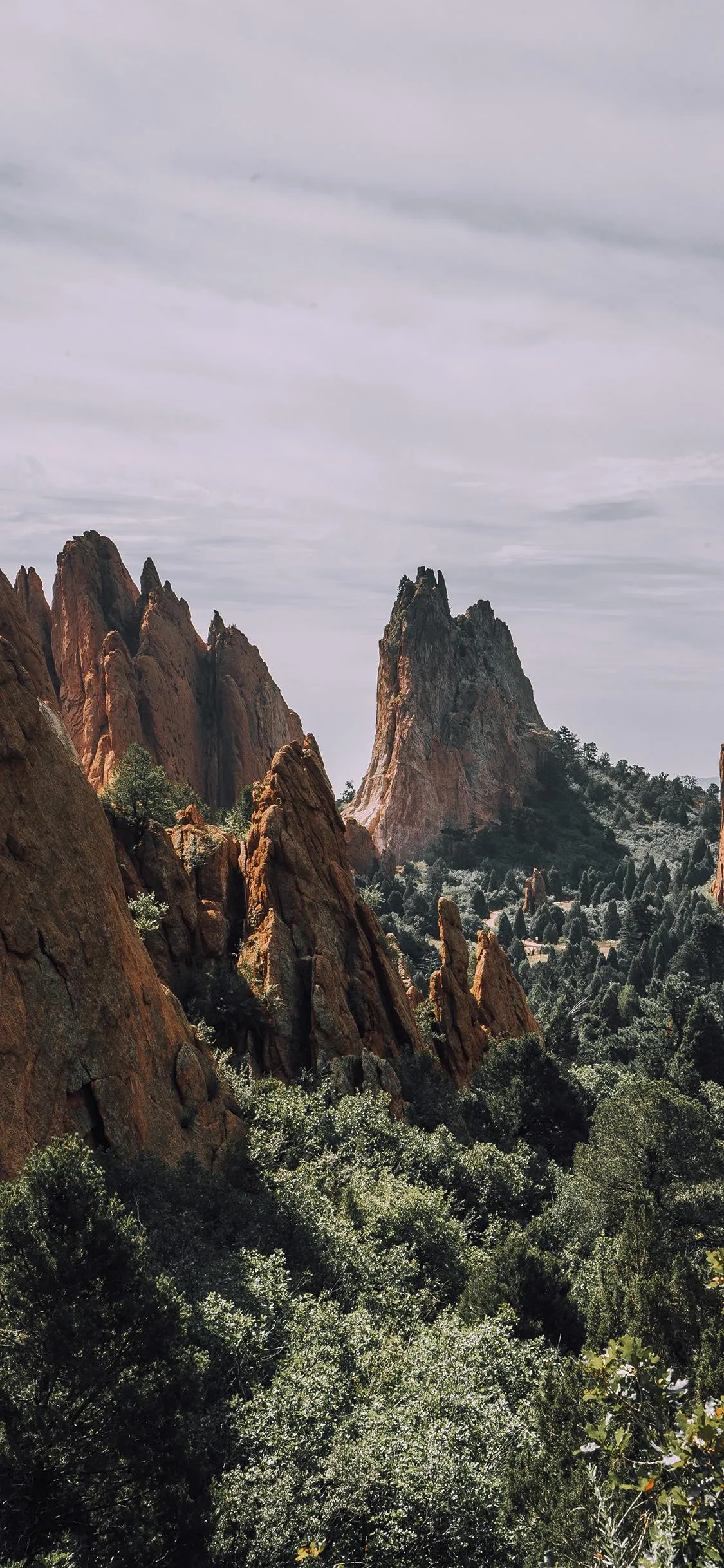 Mountain peaks and trees under a cloudy sky Wallpaper