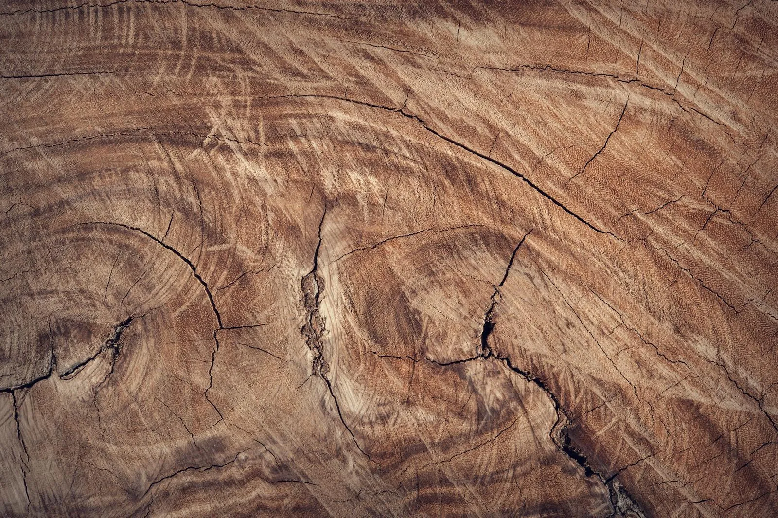 Natural brown wood texture Background wallpaper with details