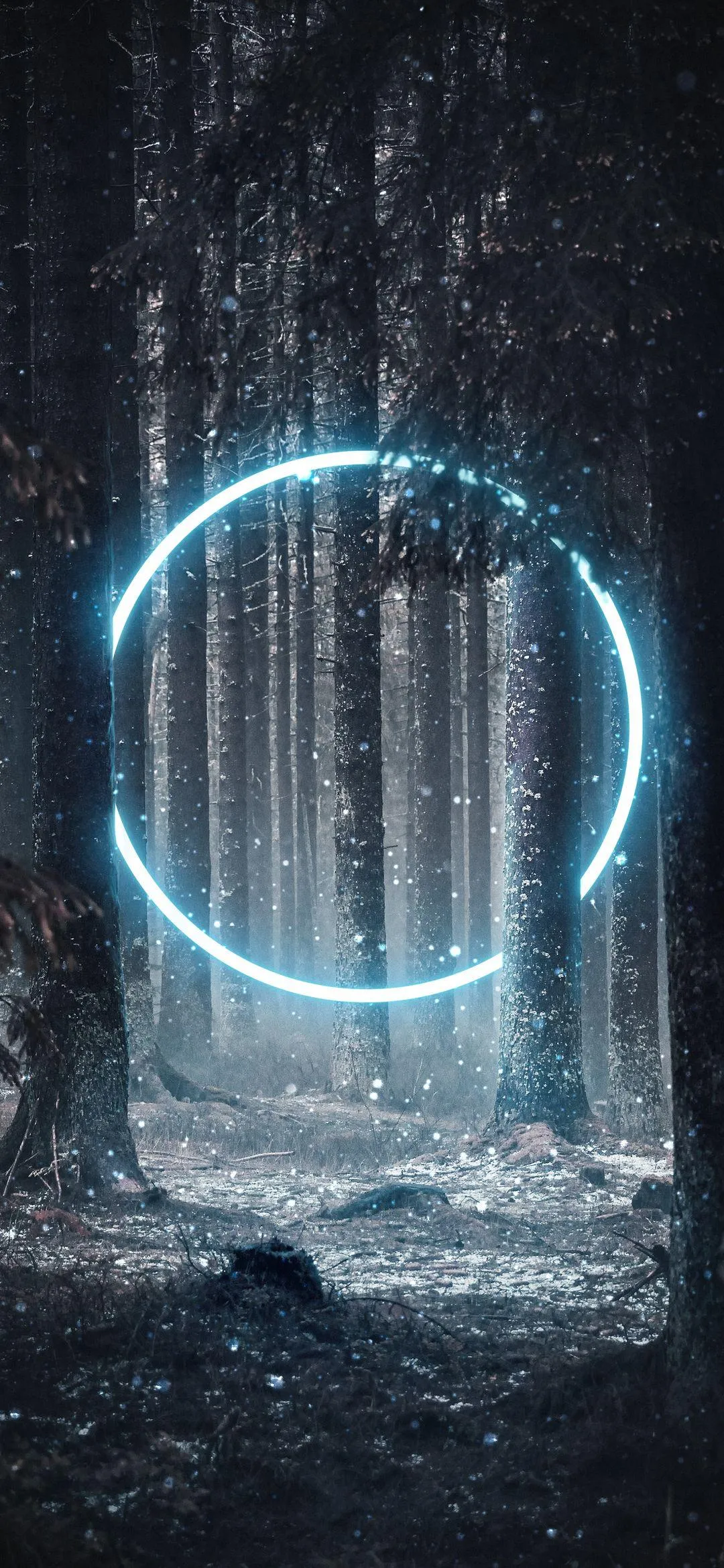 Neon Circle Glowing in a Dark Rainforest Night Scene