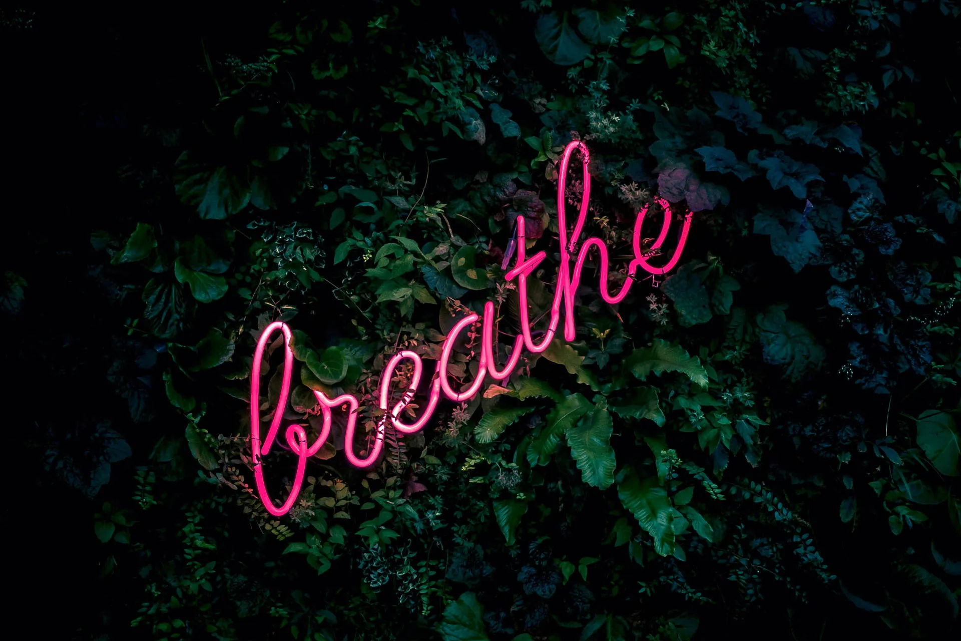 Neon pink breathe sign in nature background for focus HD