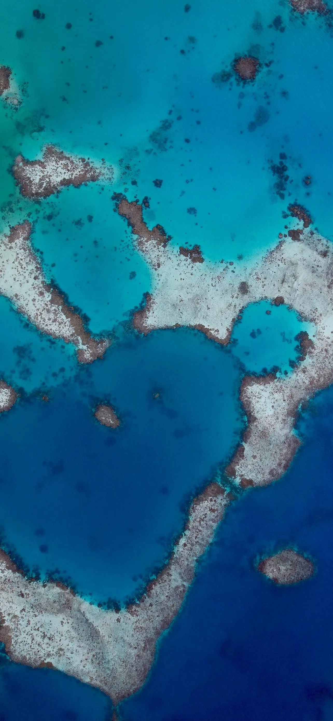 Ocean Blue Texture with Deep Coral Reef Close Up View