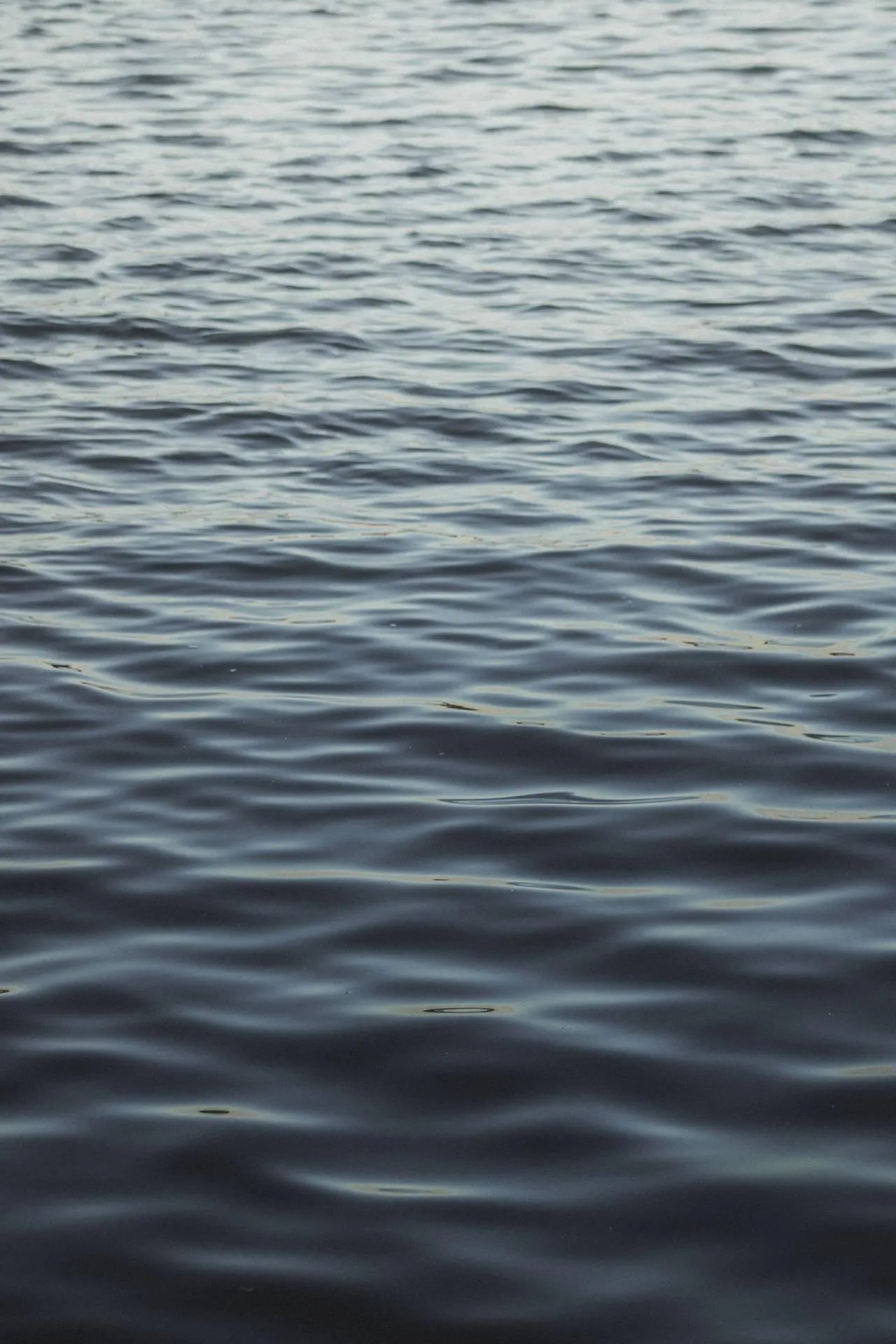 Ocean water ripples under soft natural daylight 4K image