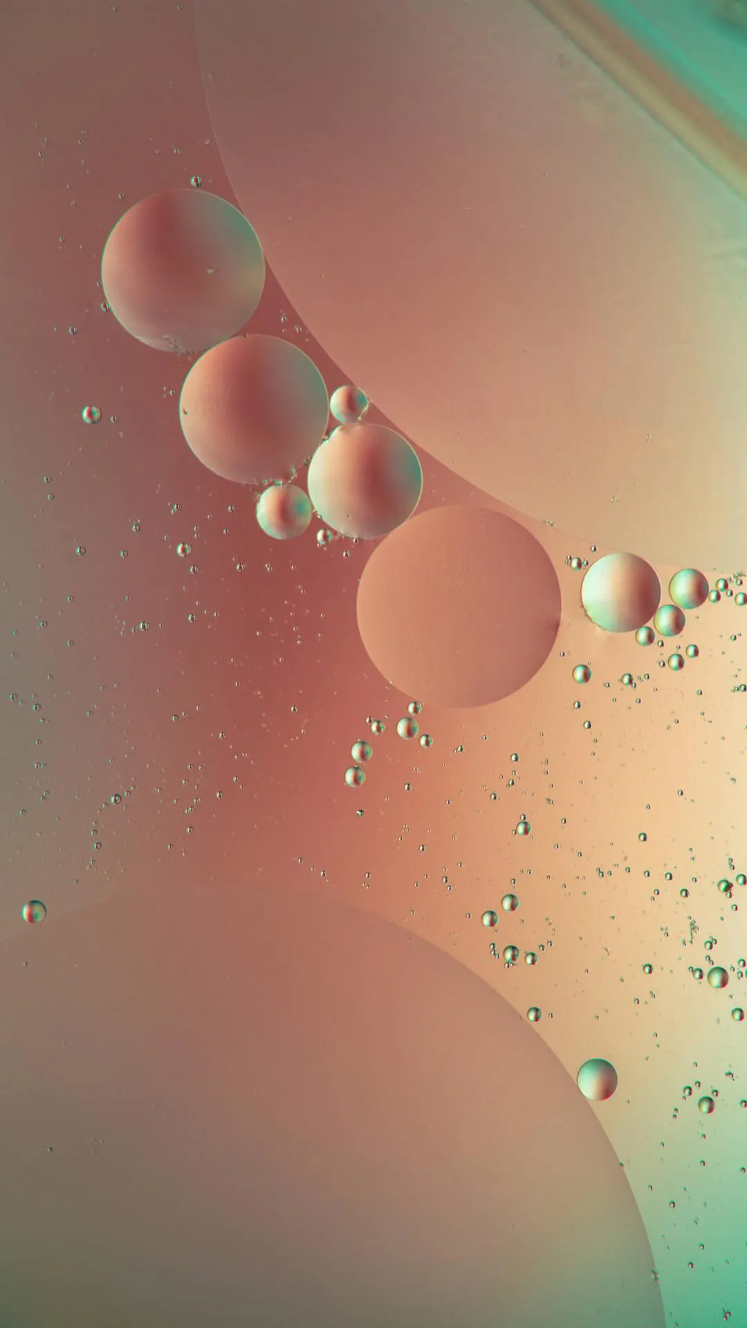 Oil and water bubble macro abstract liquid art in 4k image