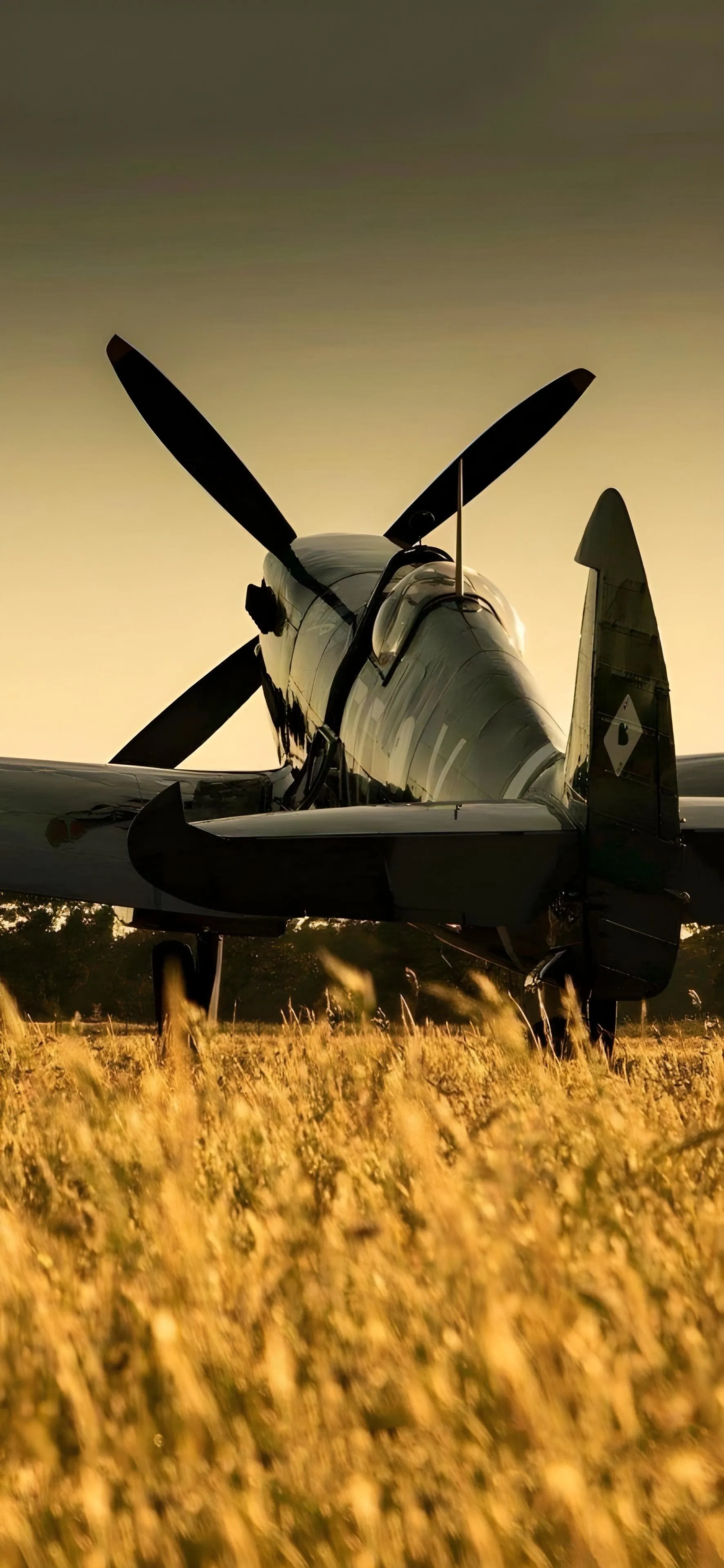 Old Propeller Plane in Wheat Field at Golden Sunset