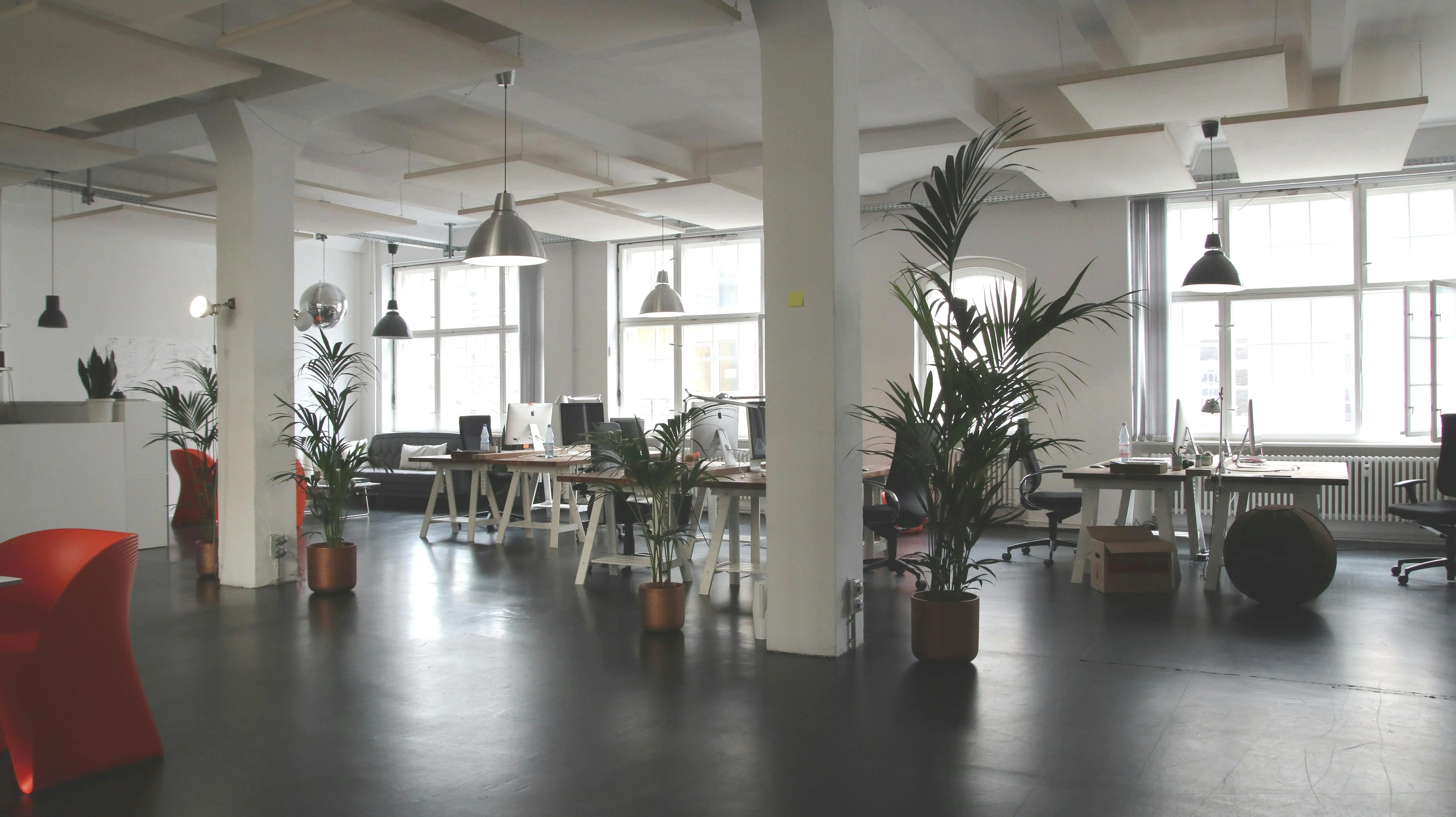 Open modern office space with desks lights and plants image