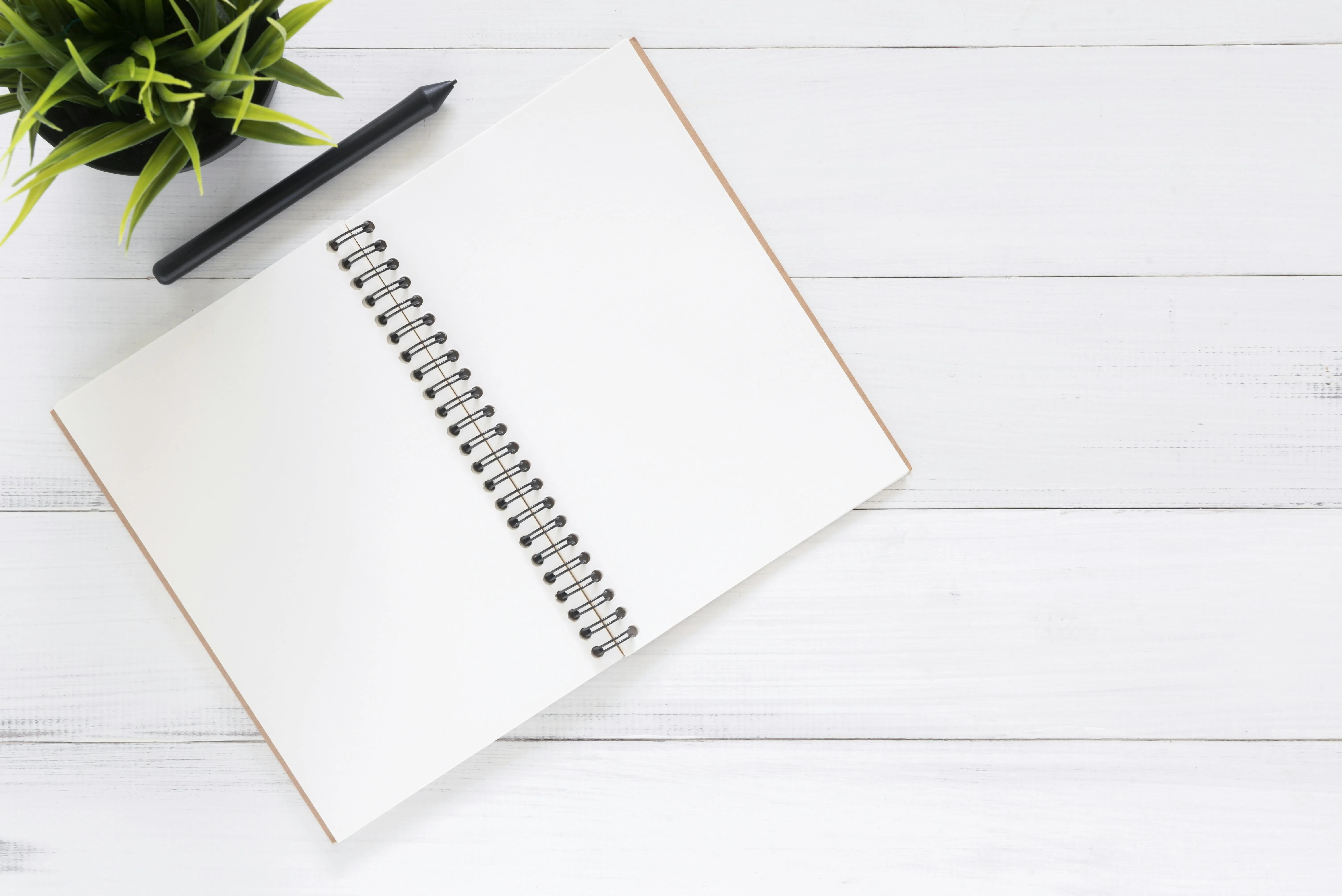 Open notebook on white desk with plant and black pen 4K