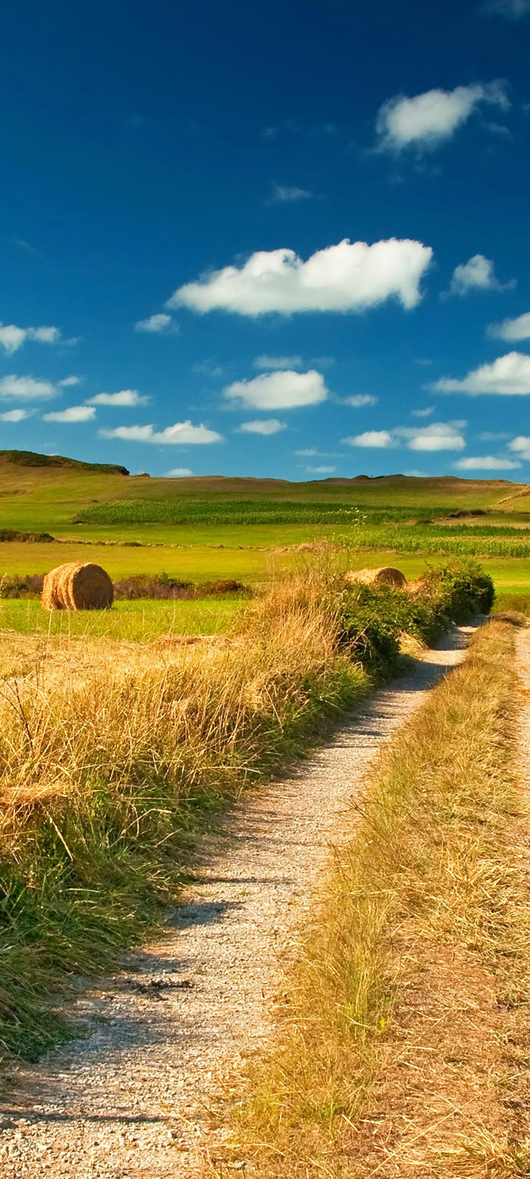 Peaceful Countryside Path with Fields and Blue Sky Views