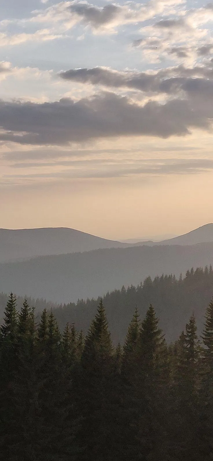 Peaceful forest with mountains and a glowing sunset image