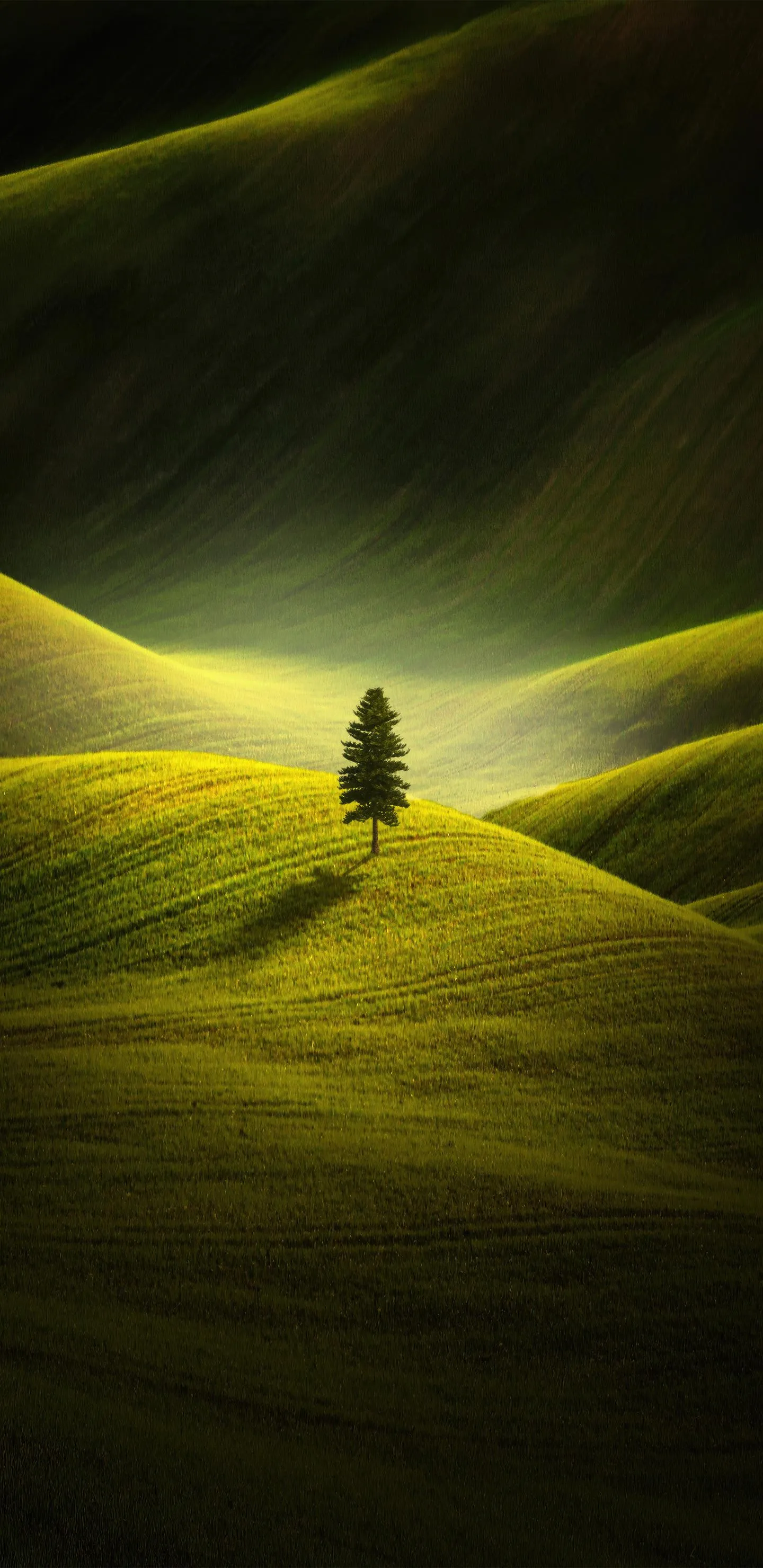 Peaceful Green Hills Landscape with Warm Sunlight Glow