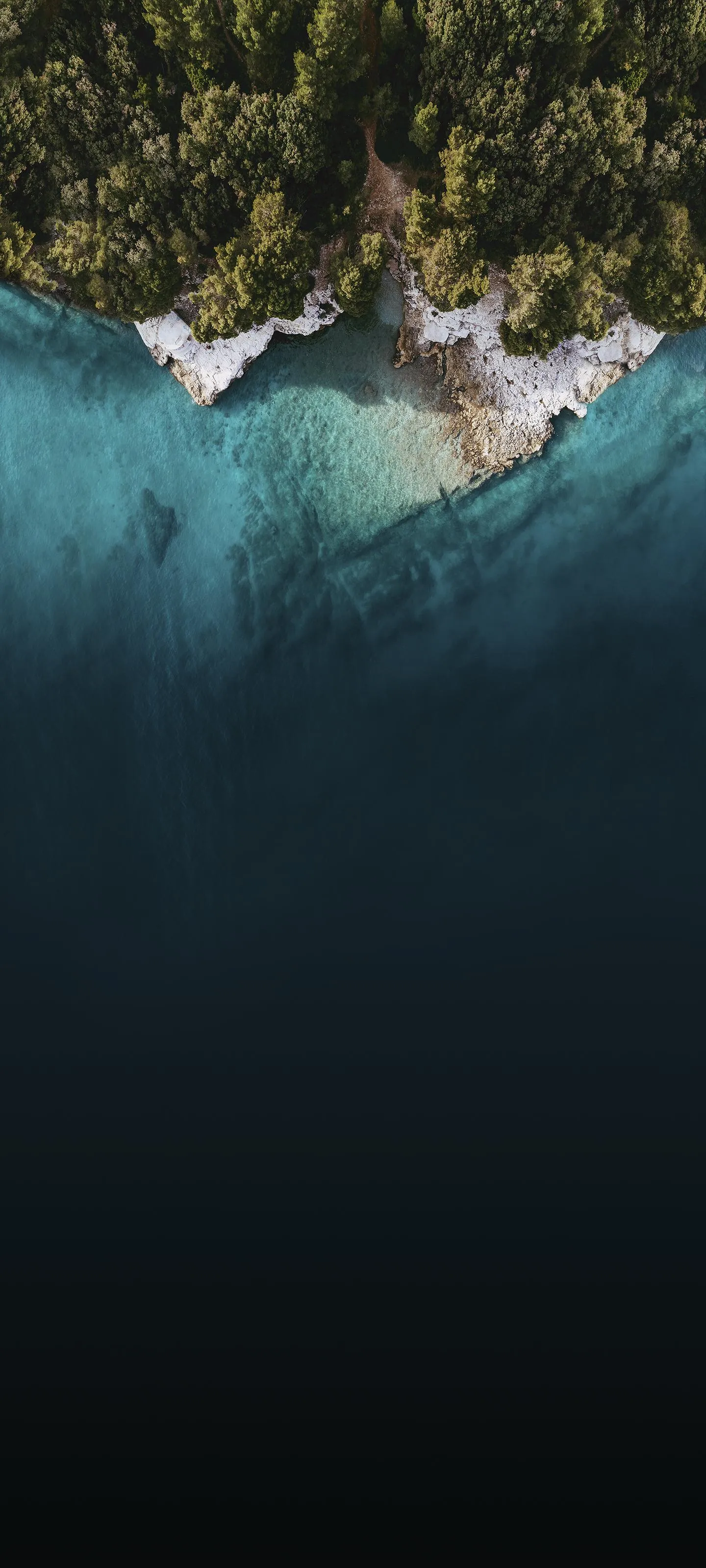 Peaceful Lake Surrounded by Forest and Mountain View