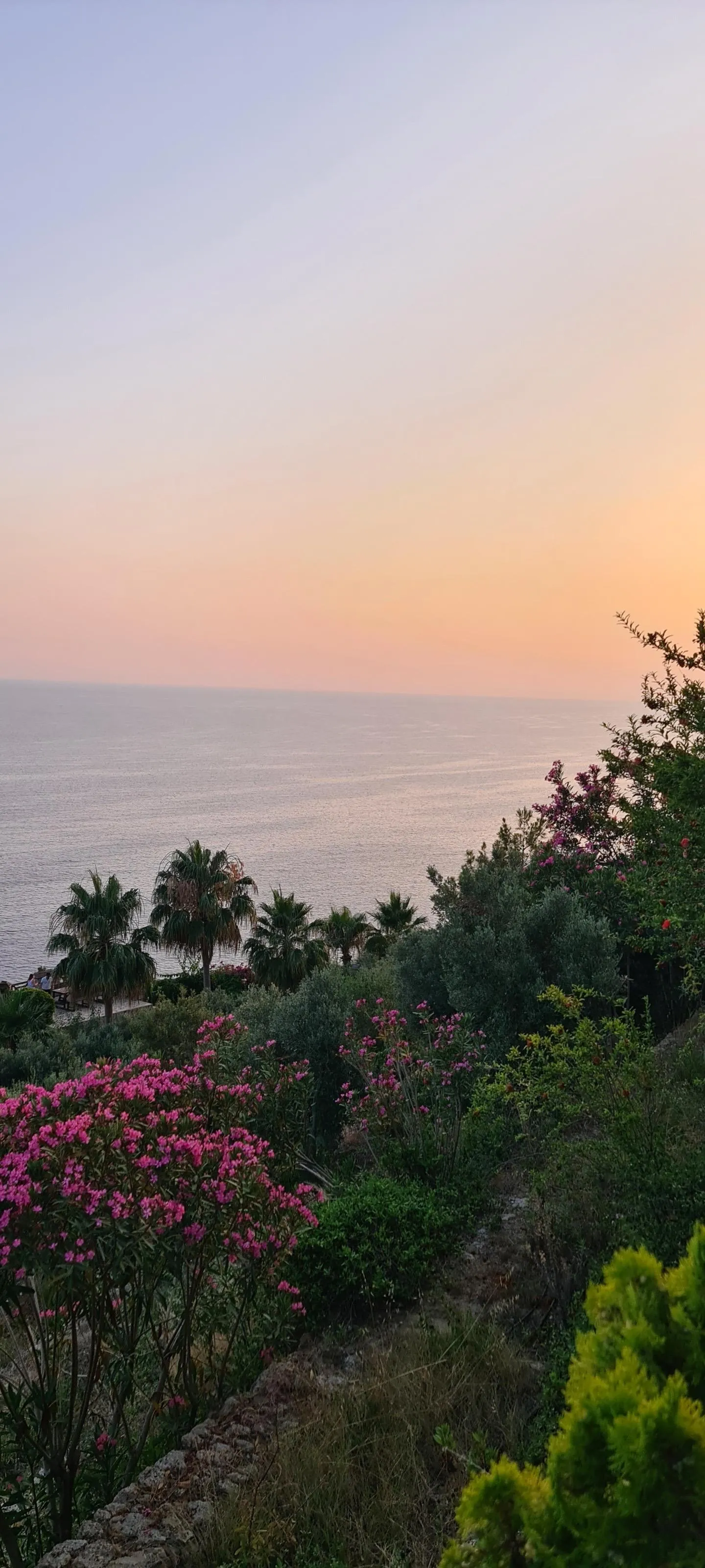 Peaceful Sunrise Over Hills with Green Trees and Clear Sky