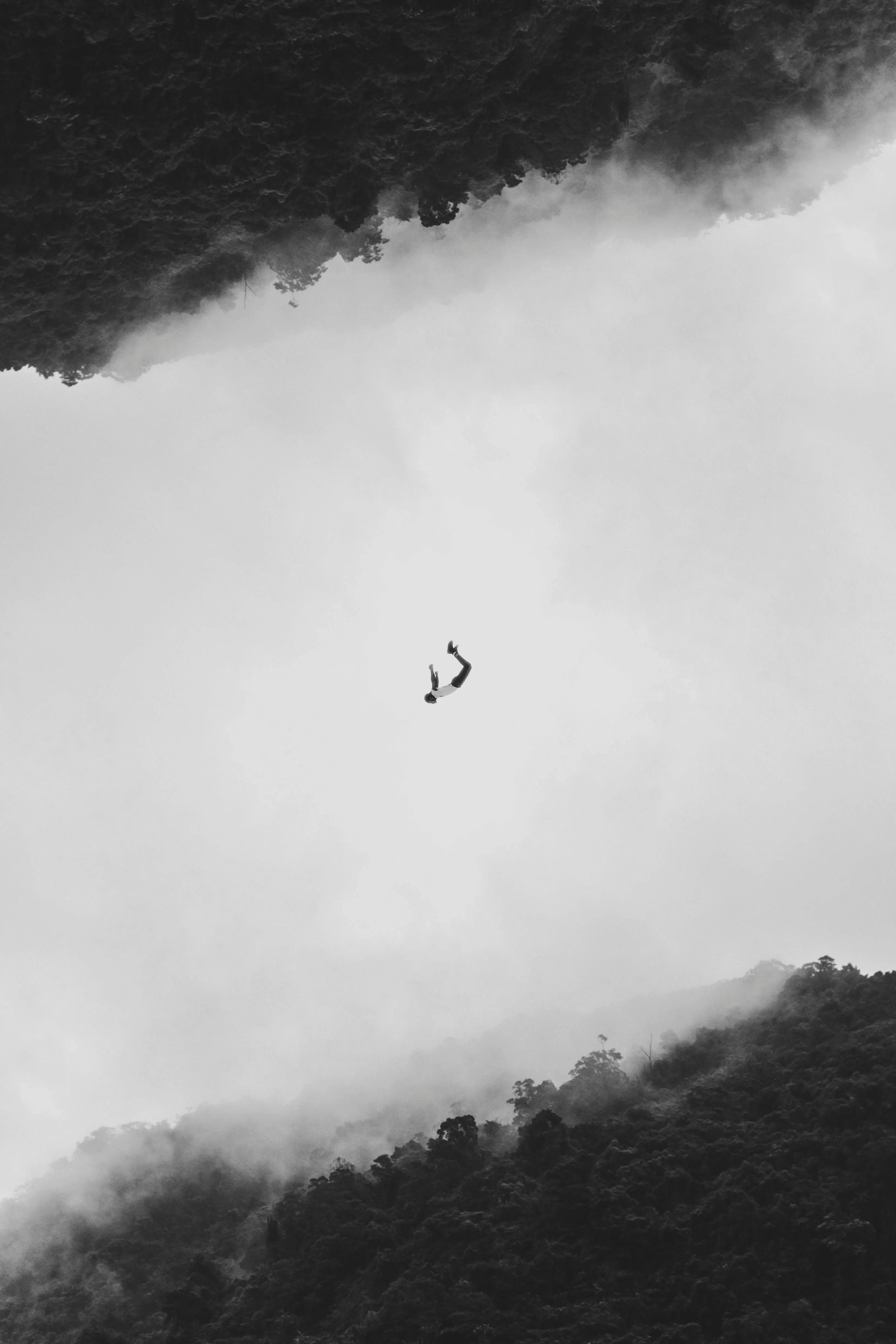 Person falling through a forest valley in black and white