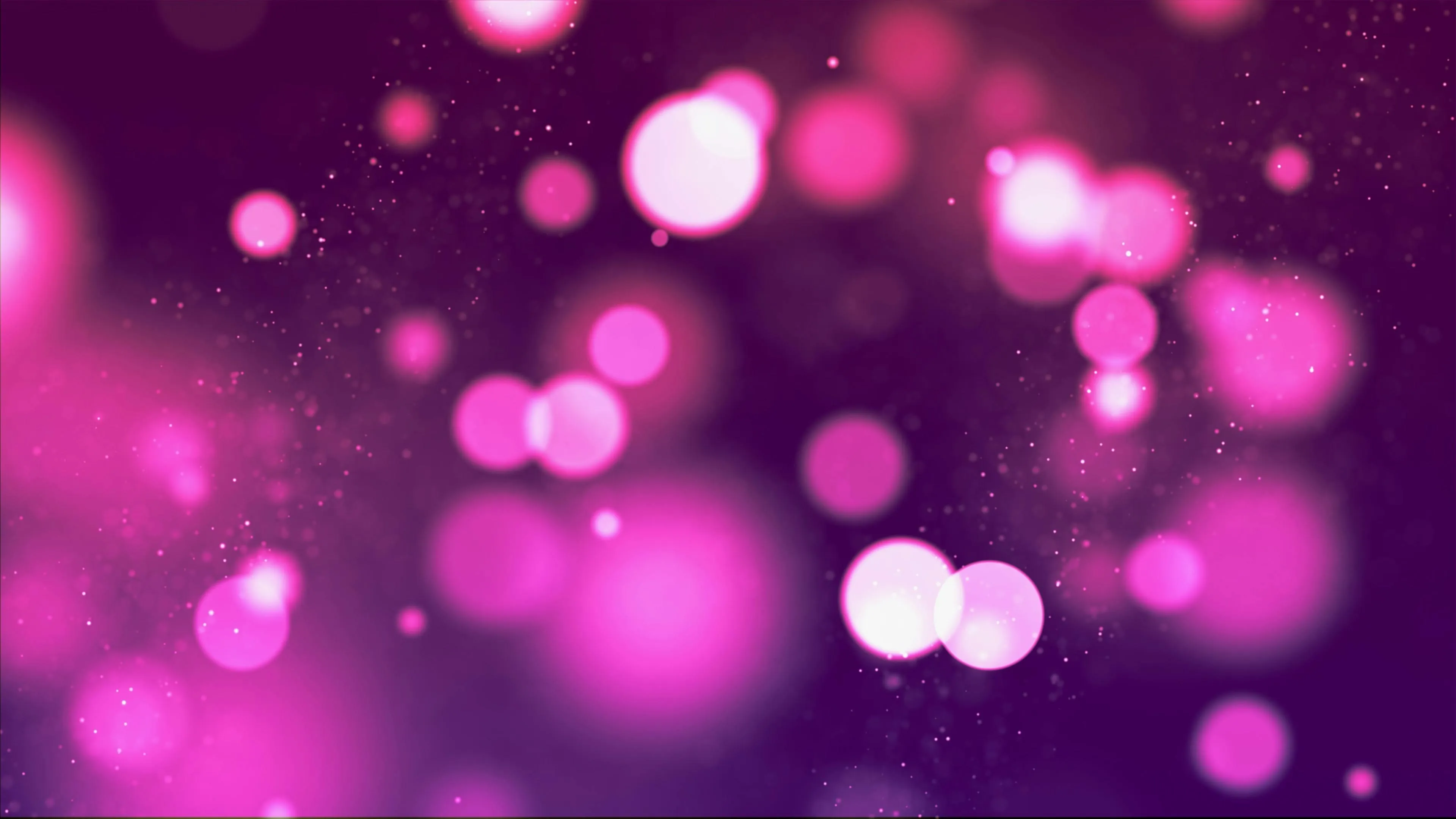 Pink and purple glowing bokeh lights with a dark backdrop