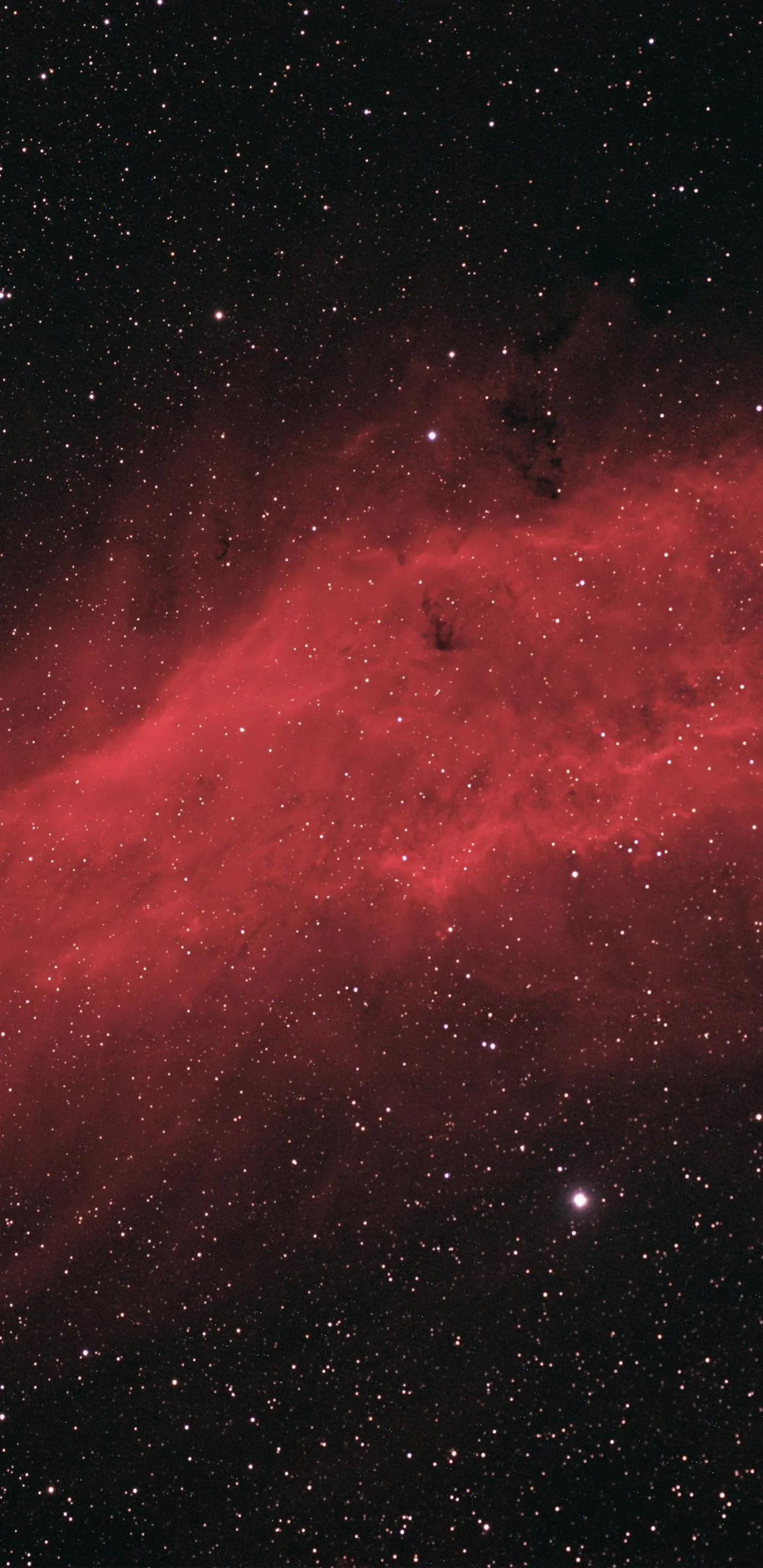 Red Nebula Cloud Stretching through Starry Space Wallpaper