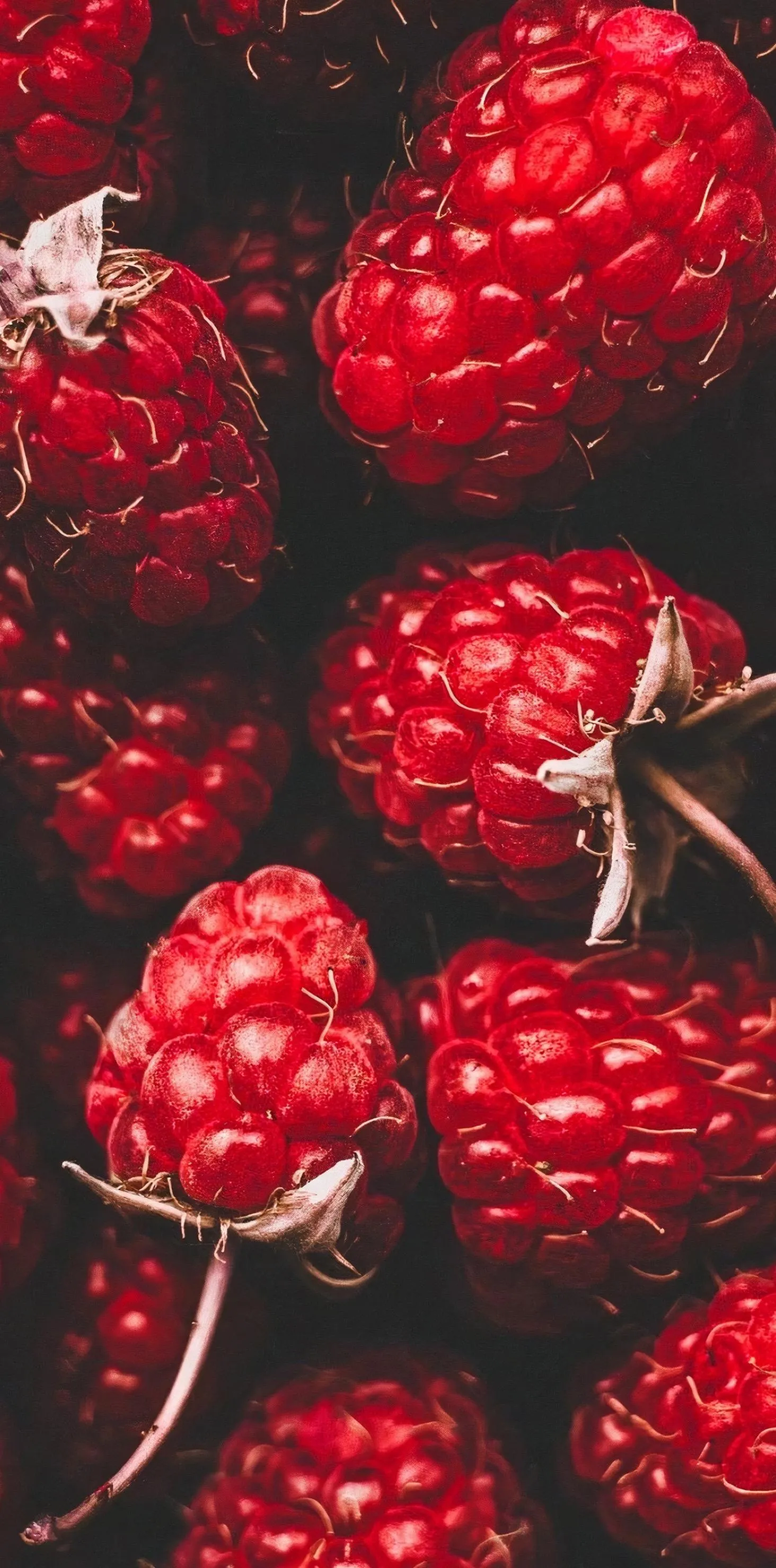Red Raspberries Close Up in Vibrant Natural Composition