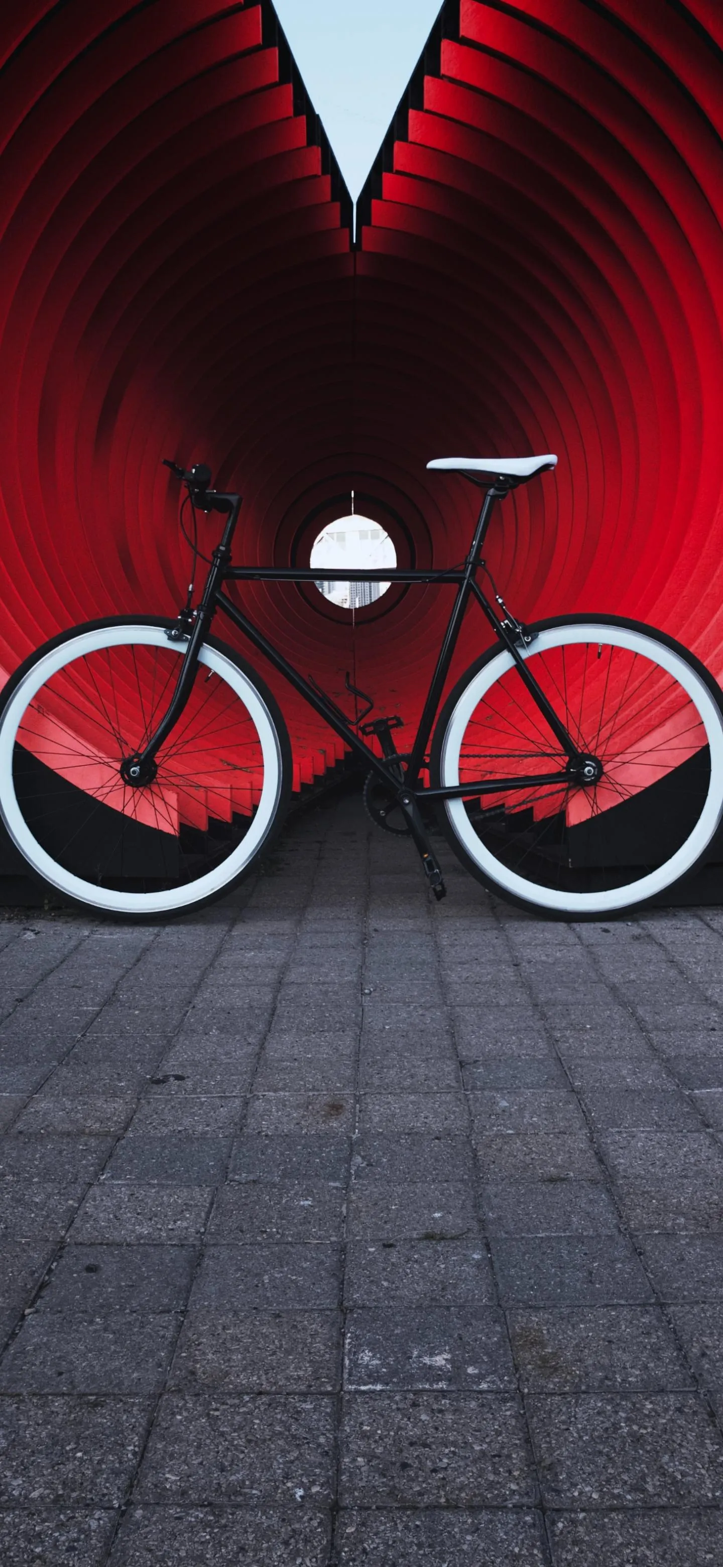 Red Wall with Bicycle and Shadow Symmetry Street Art