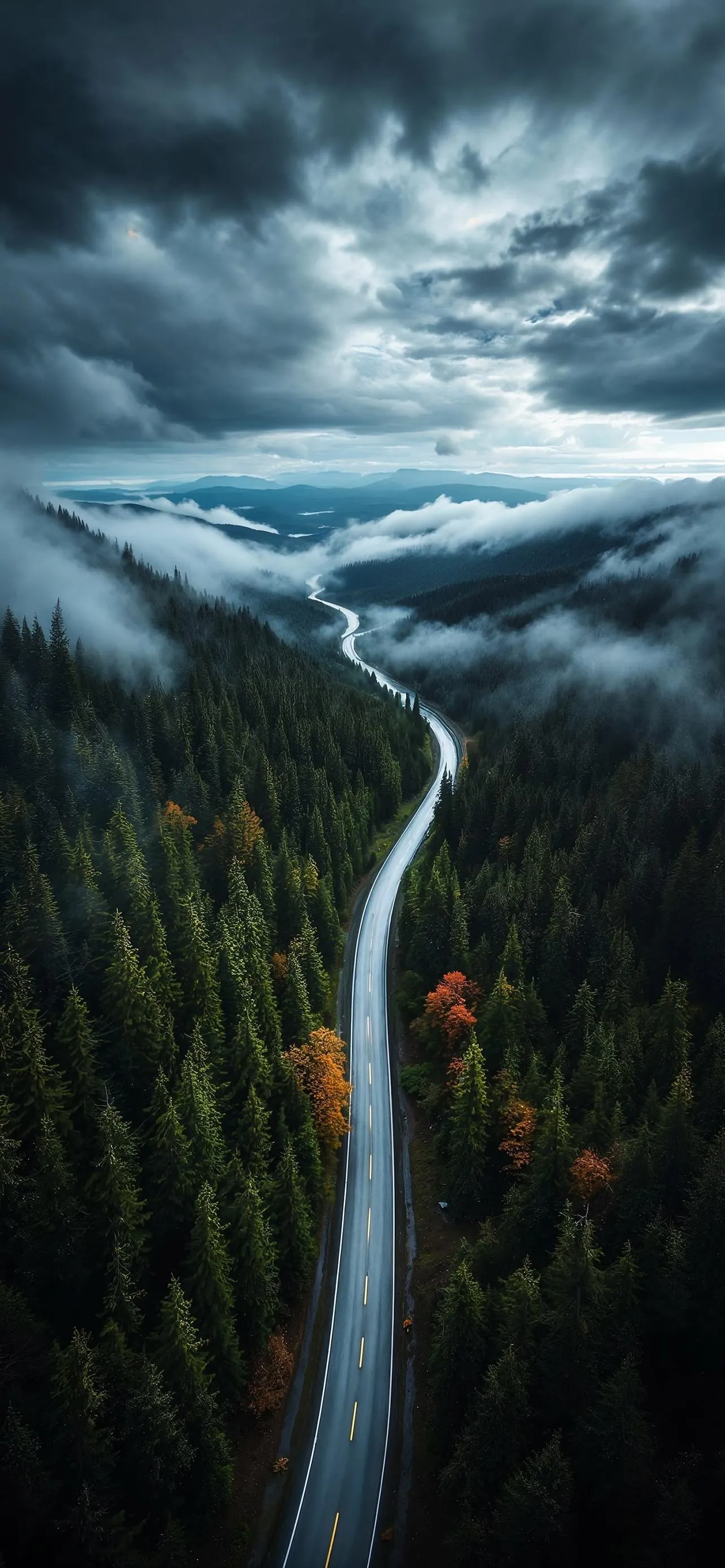 Road Cutting Through Dense Forest Under Cloudy Sky image