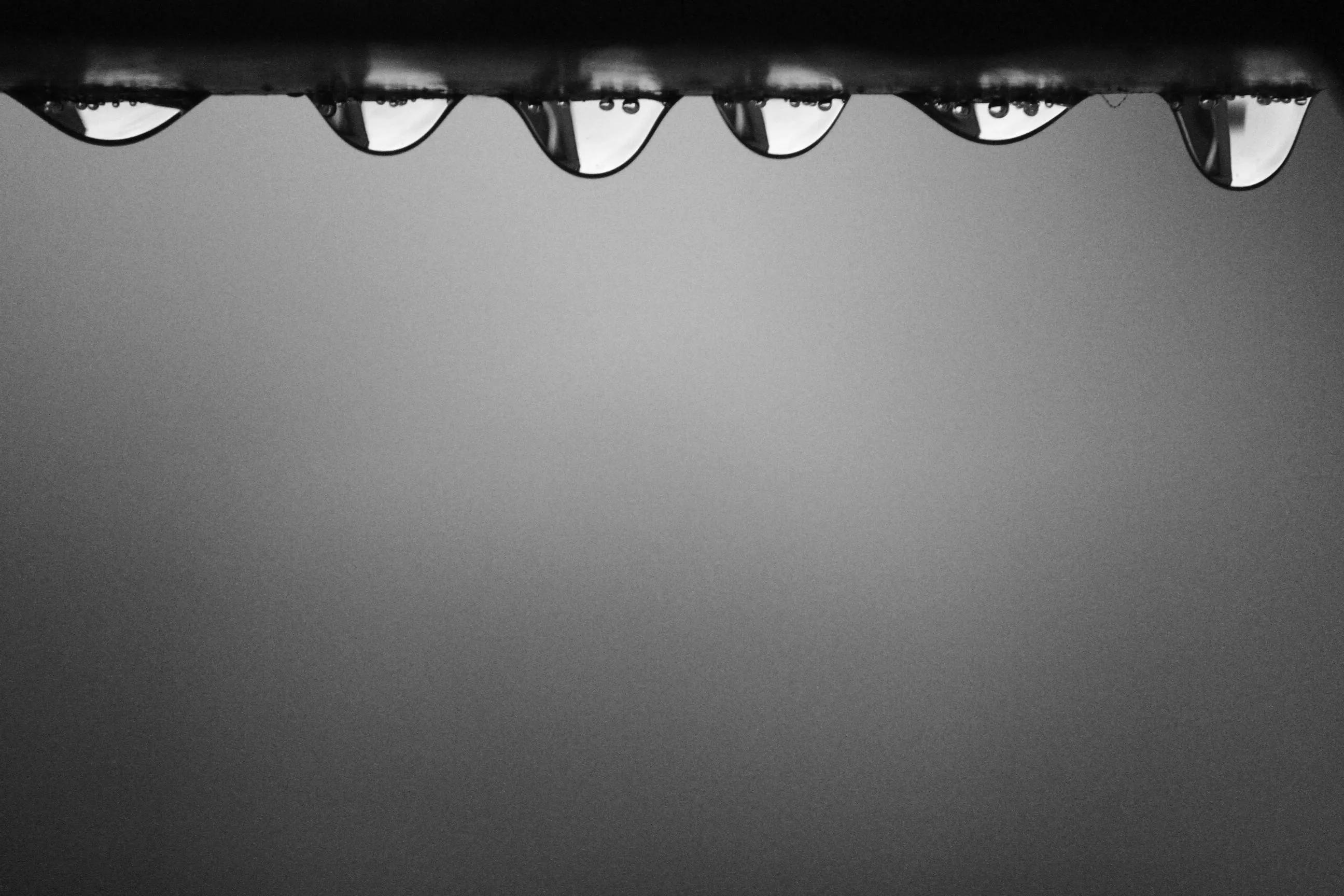 Row of water droplets hanging on the top free Wallpaper