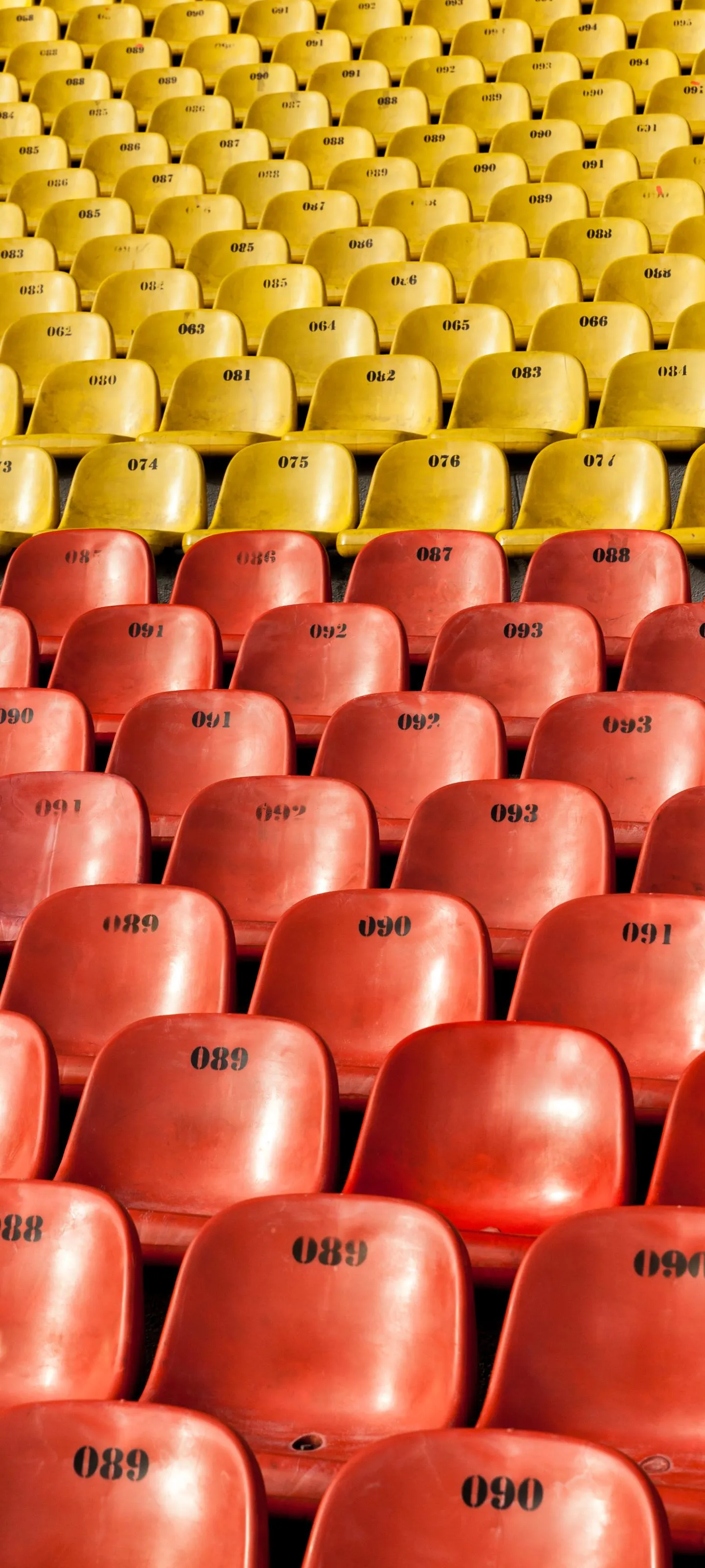 Rows of Colorful Stadium Seats in Bright Sunny Weather
