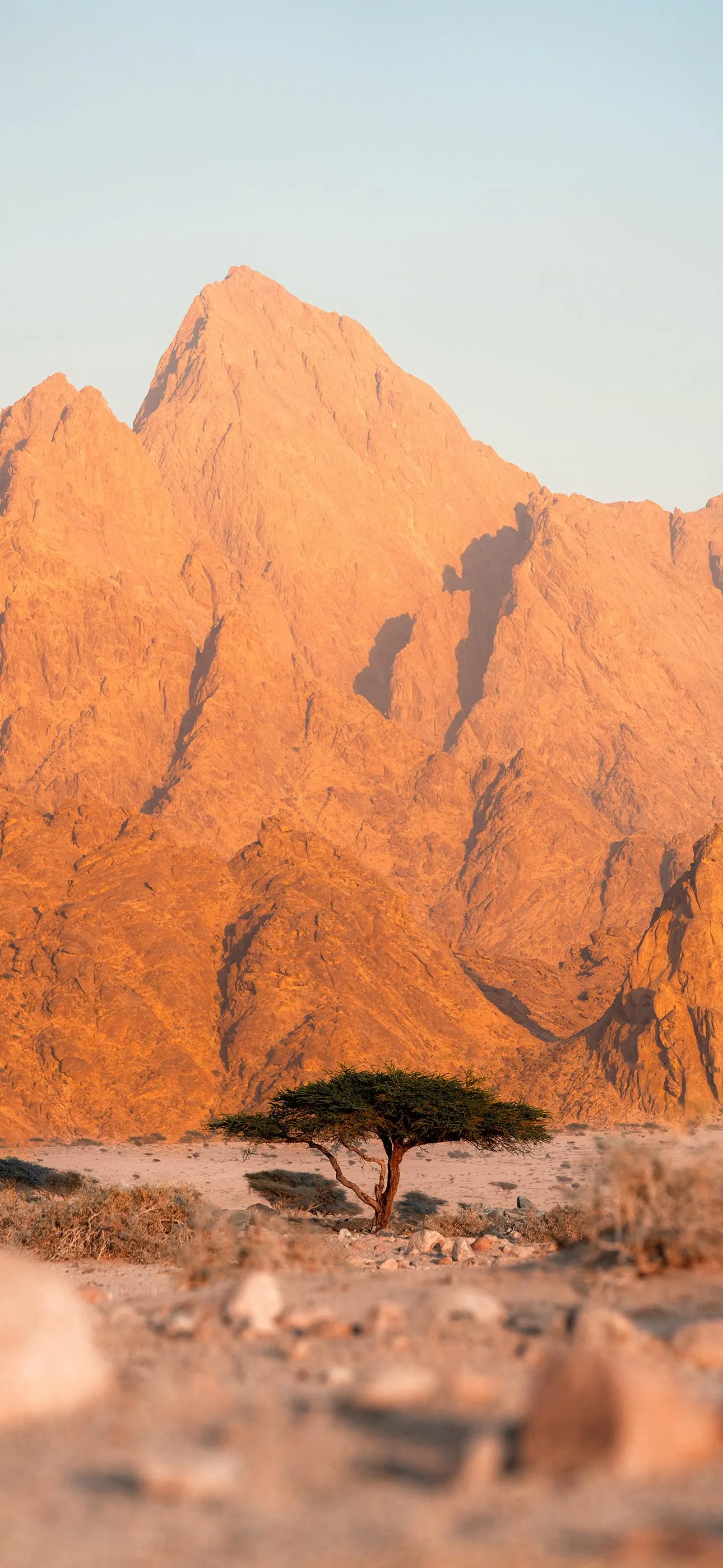 Rugged Desert Mountain Landscape in Golden Hour Wallpaper