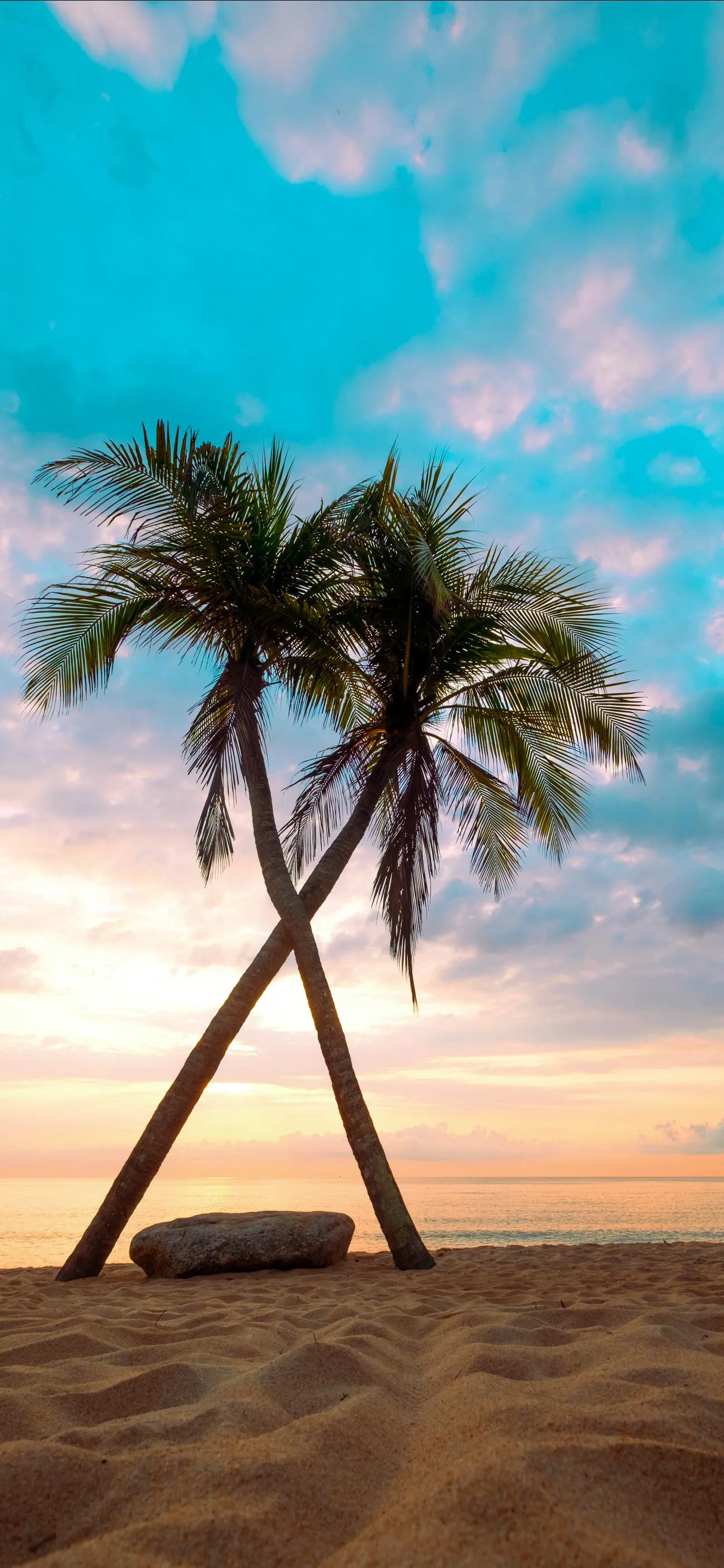 Scenic Tropical Beach Sunset with Palm Trees View Wallpaper