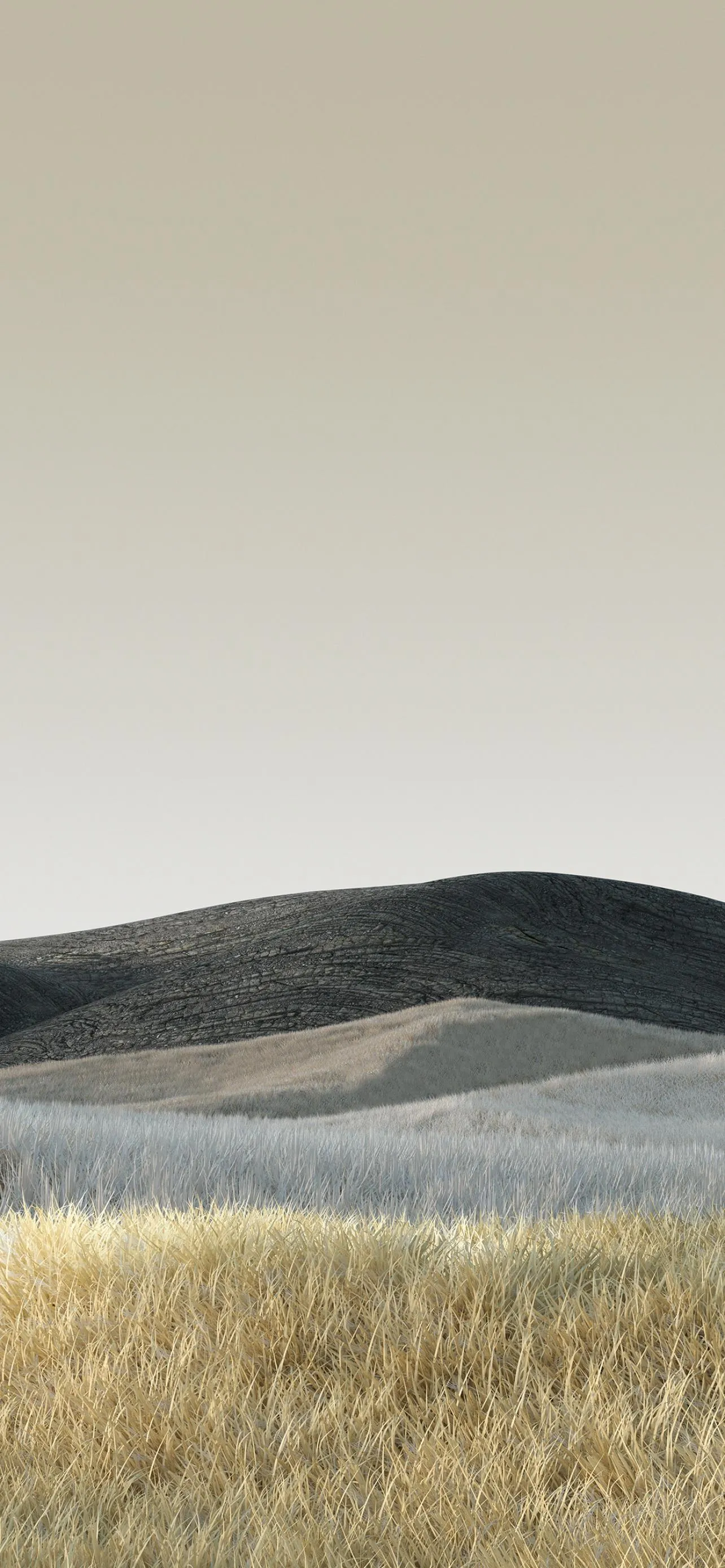 Serene Desert Grassland Landscape with Minimalist Vibe