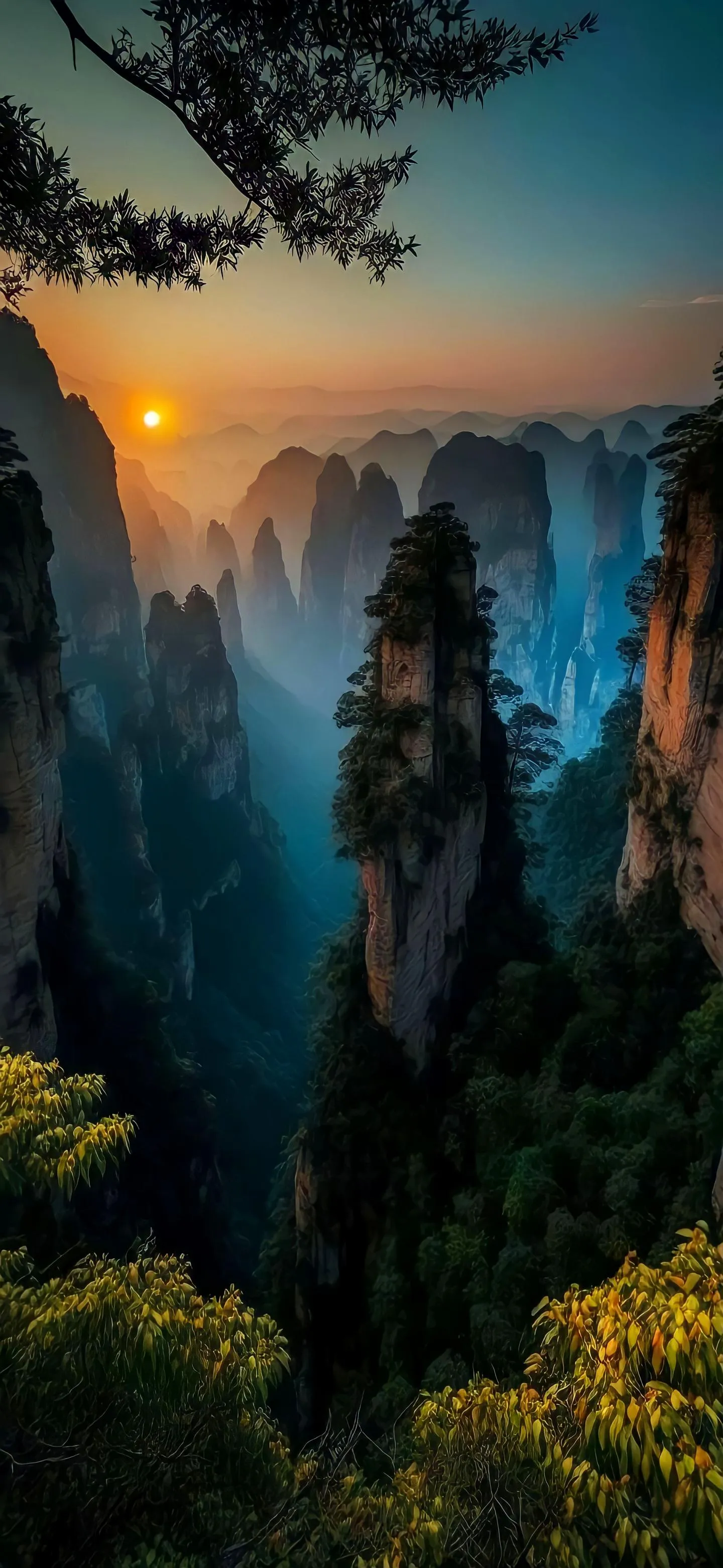 Serene Forest Mountains in Golden Sunset View Wallpaper