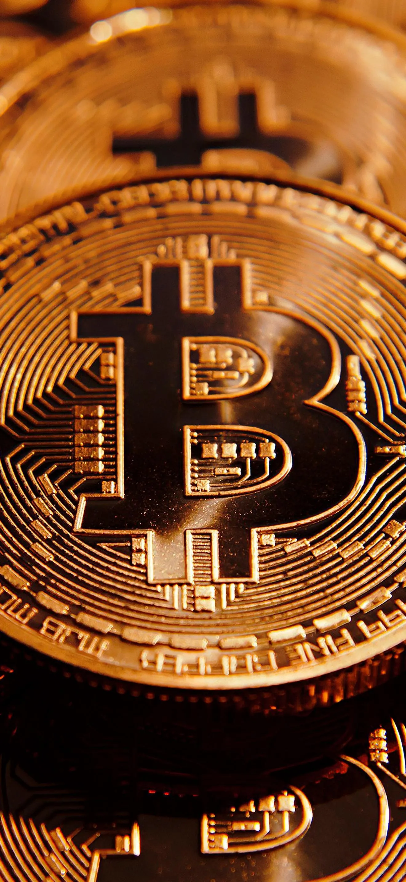 Shiny Gold Bitcoin on Reflective Surface Cryptocurrency