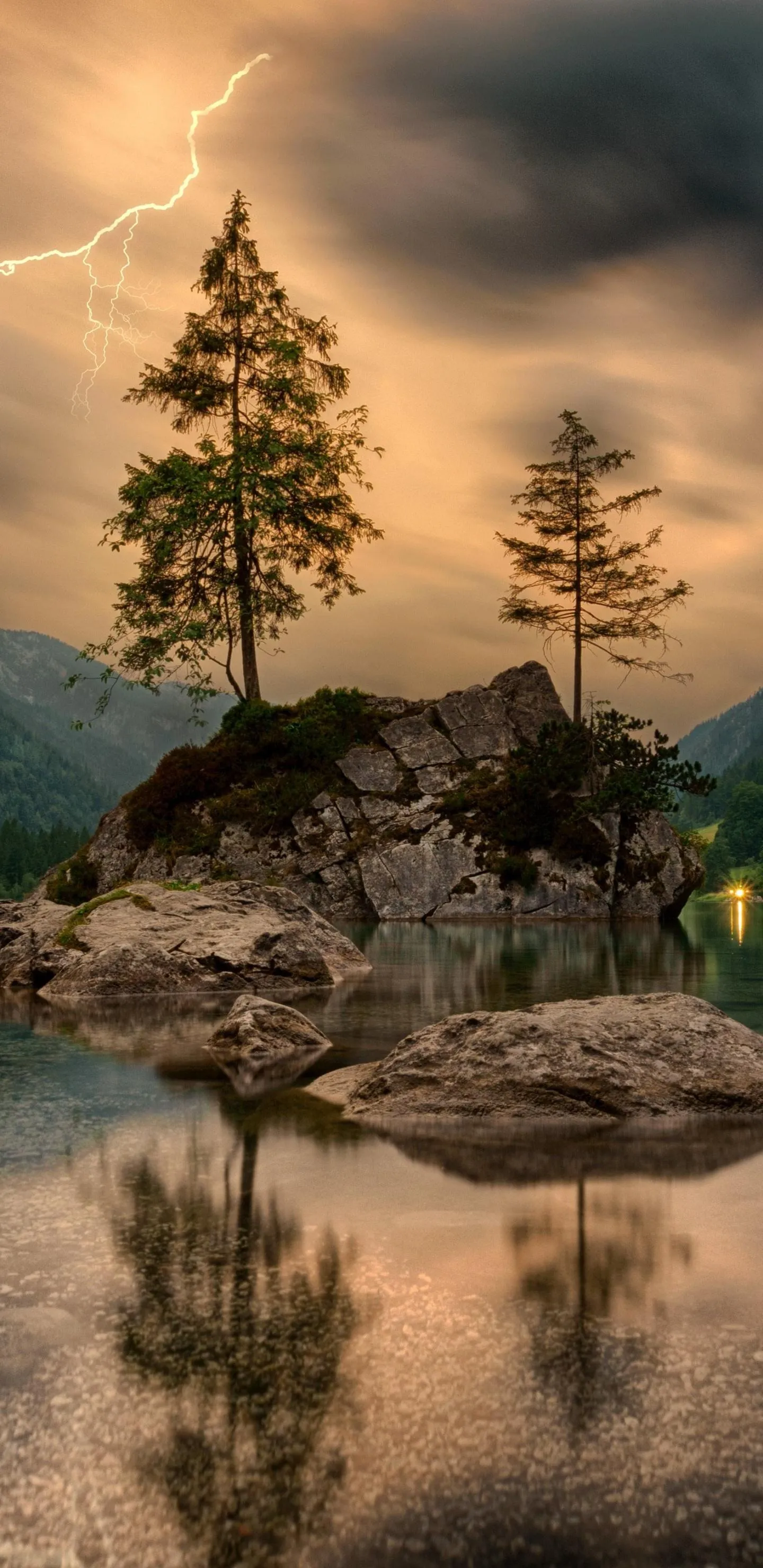 Single Tree in Calm Forest Landscape with Warm Sunset Sky
