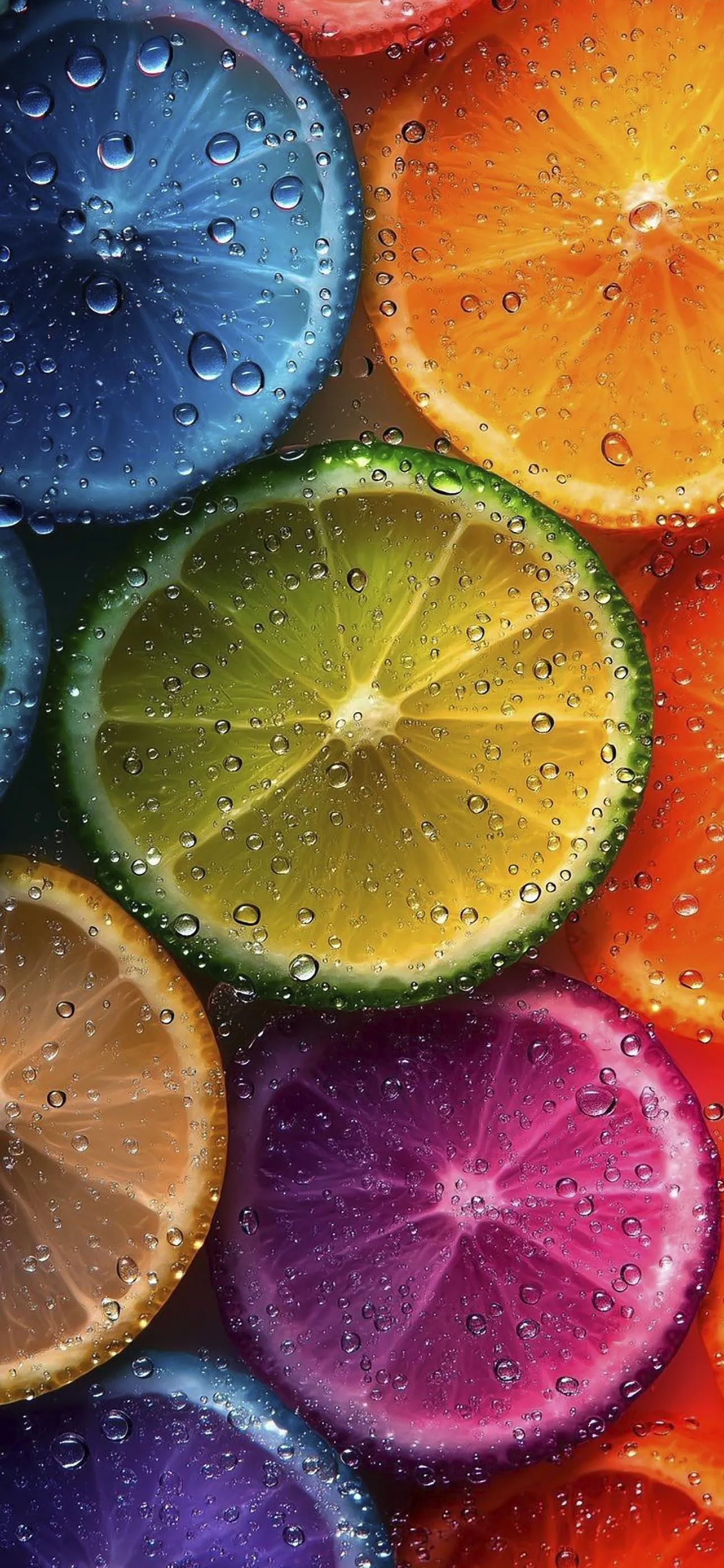 Sliced Citrus Fruits in Vivid Color Artistic Layout Wallpaper