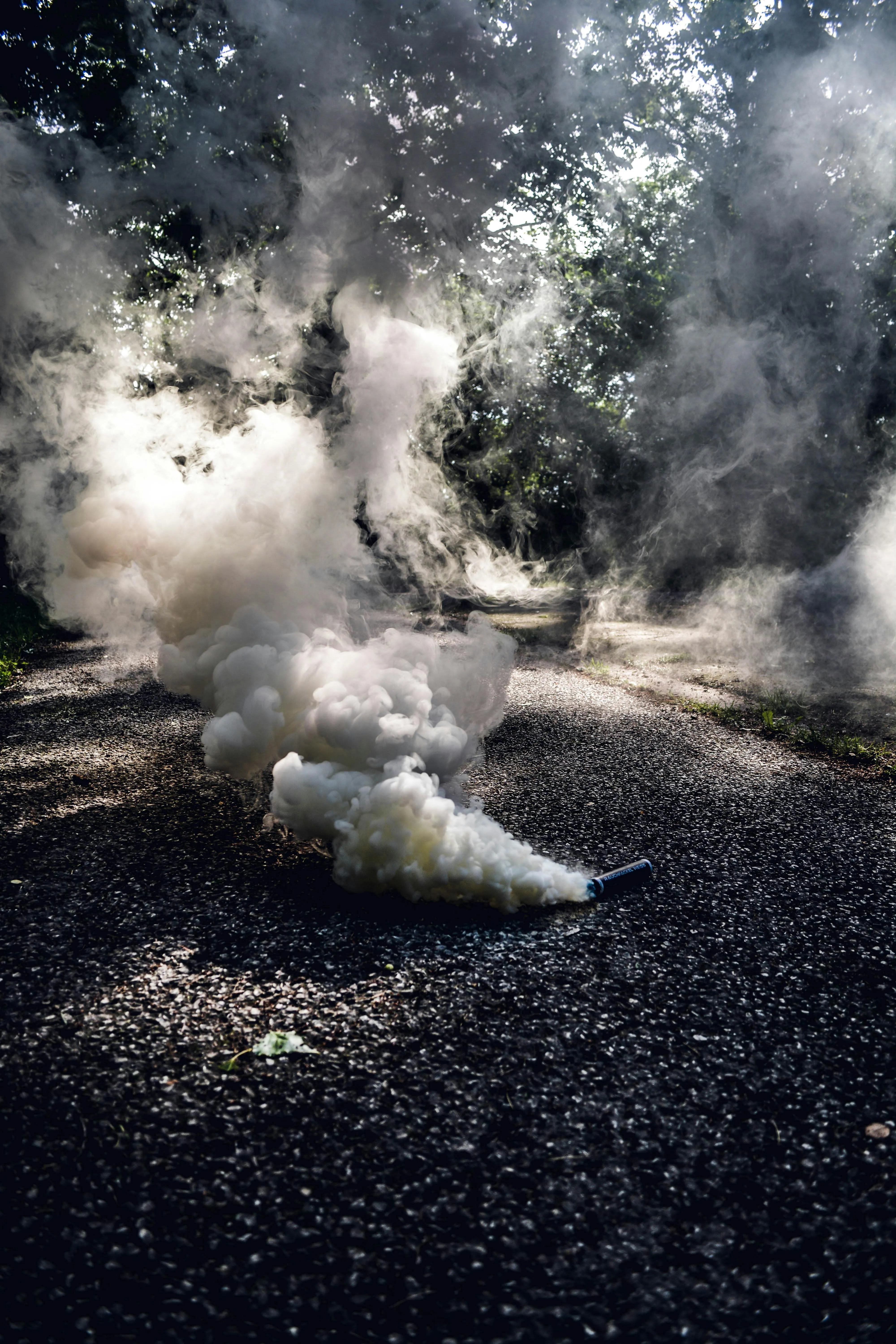 Smoke rising from road in a dramatic forest scene Wallpaper