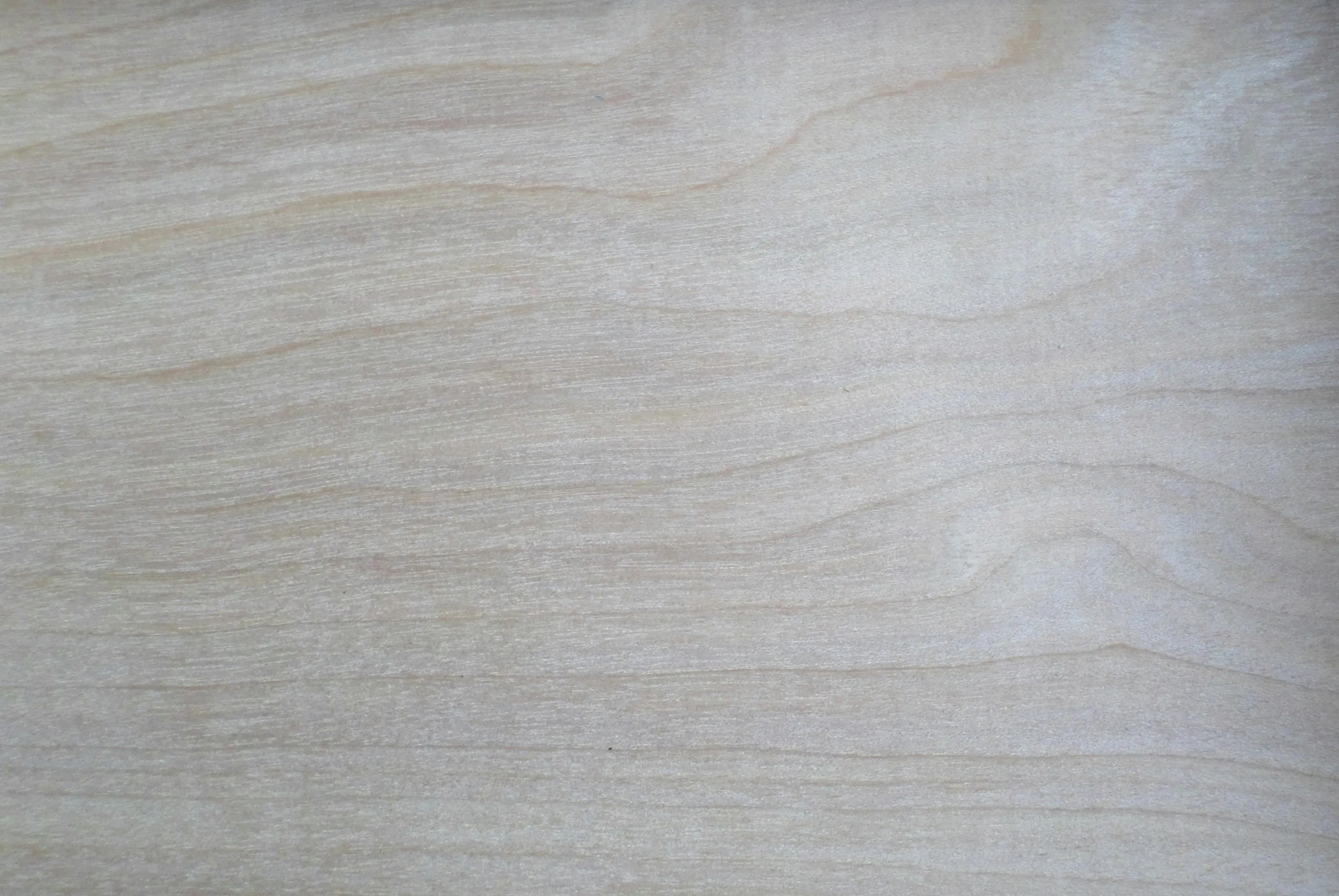 Smooth light wooden texture with natural grain Wallpaper