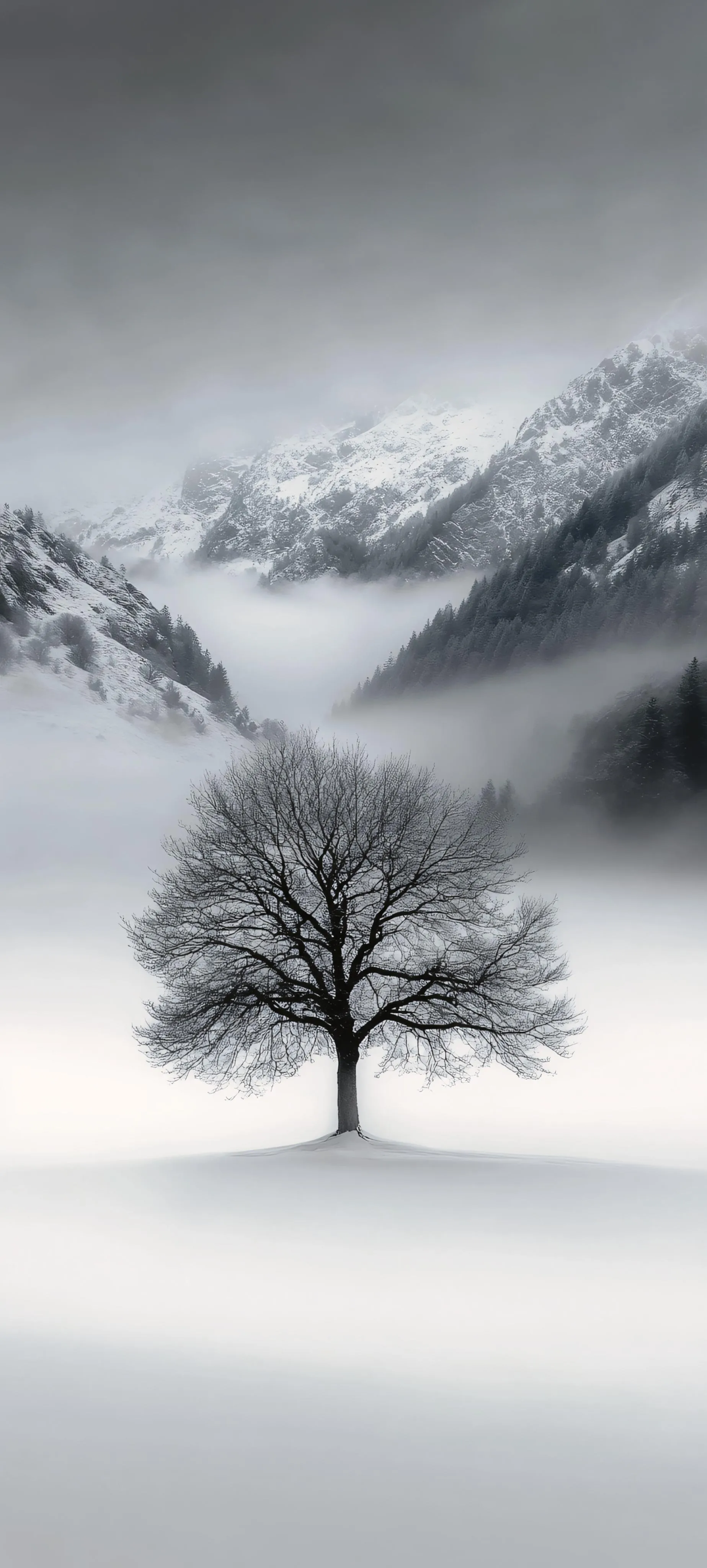 Snow Covered Tree in Winter Landscape with Gray Sky
