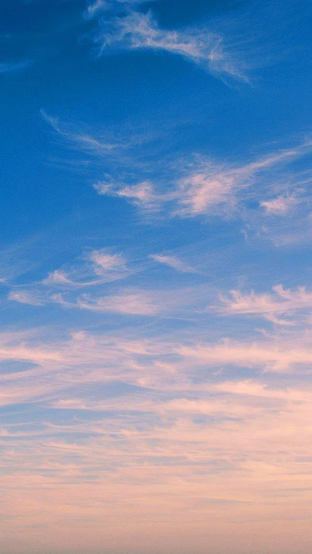 Soft pink and blue sunset sky with light scattered clouds