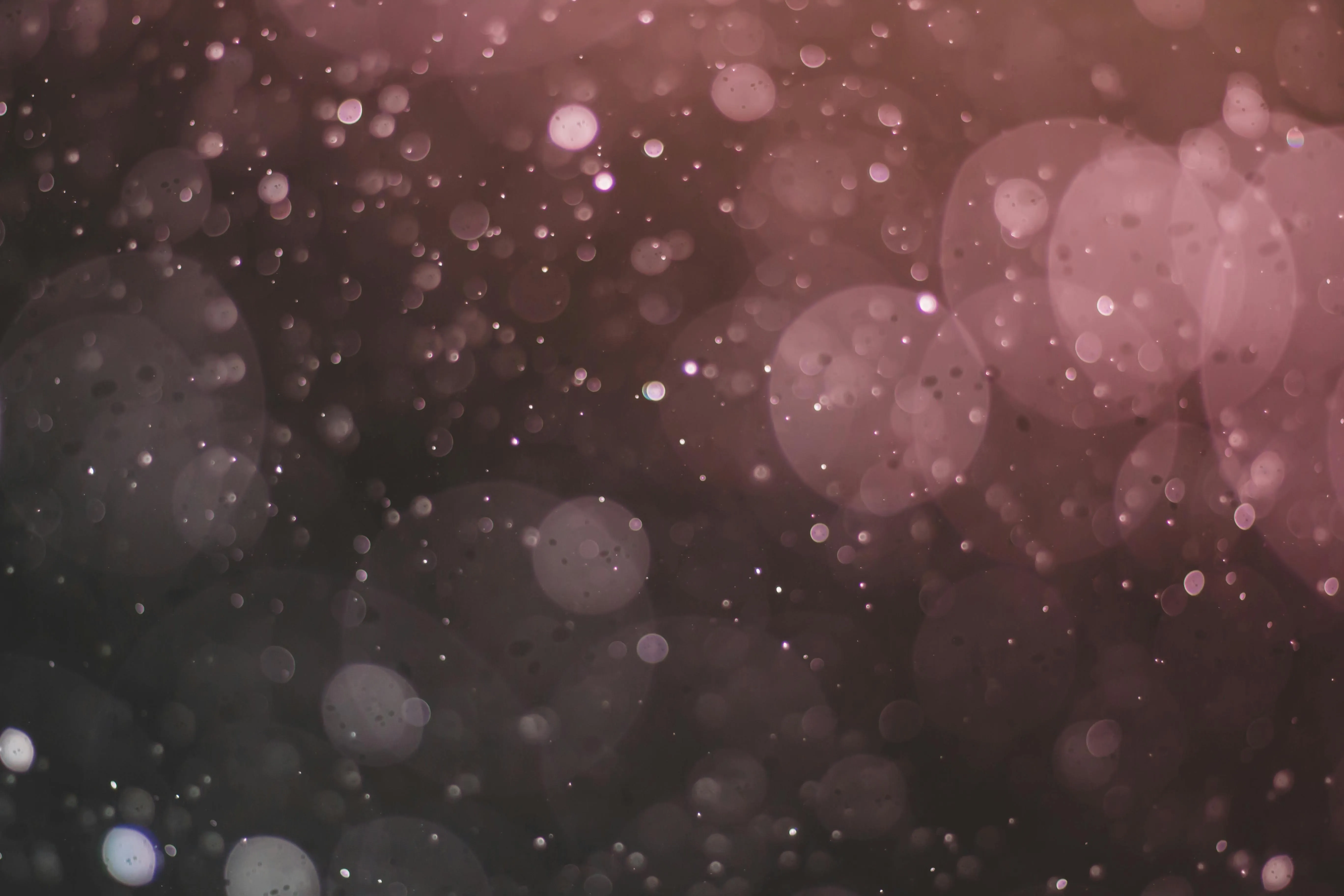 Soft pink bokeh light spots on a dark background Wallpaper