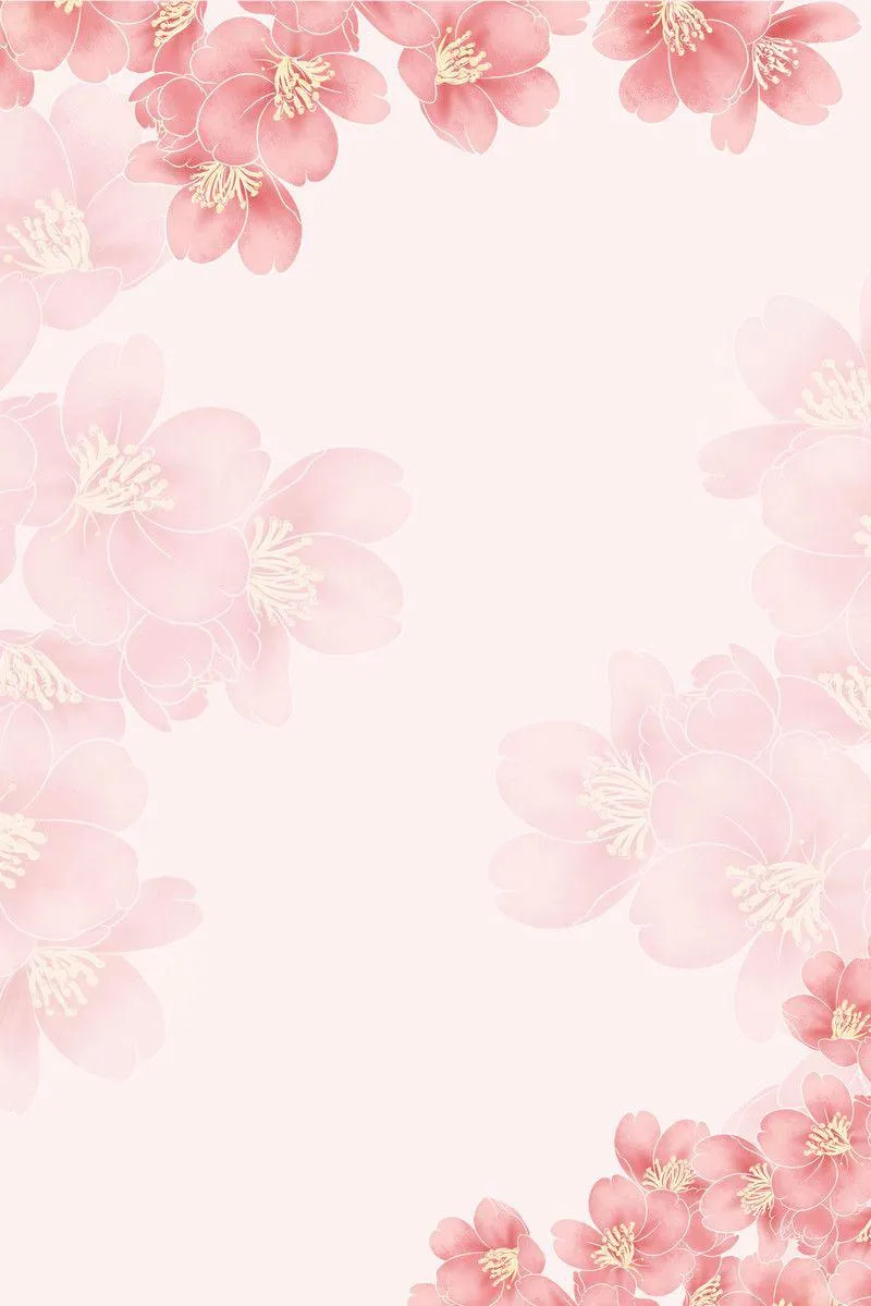 Soft pink cherry blossoms scattered on a pale pink backdrop