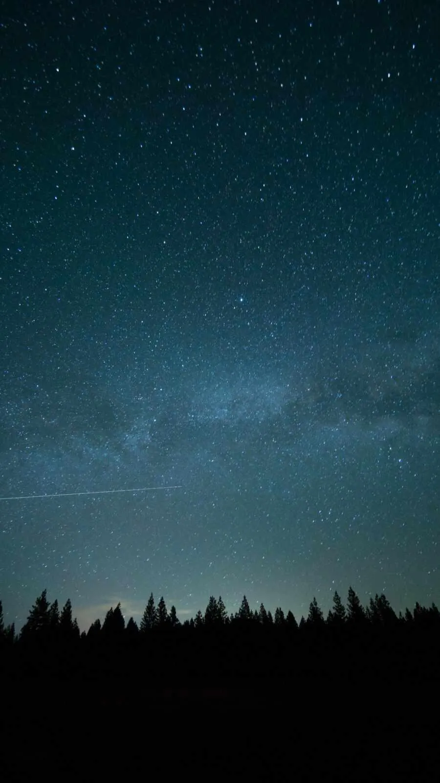 Starry night sky above a dark forest silhouette Wallpaper