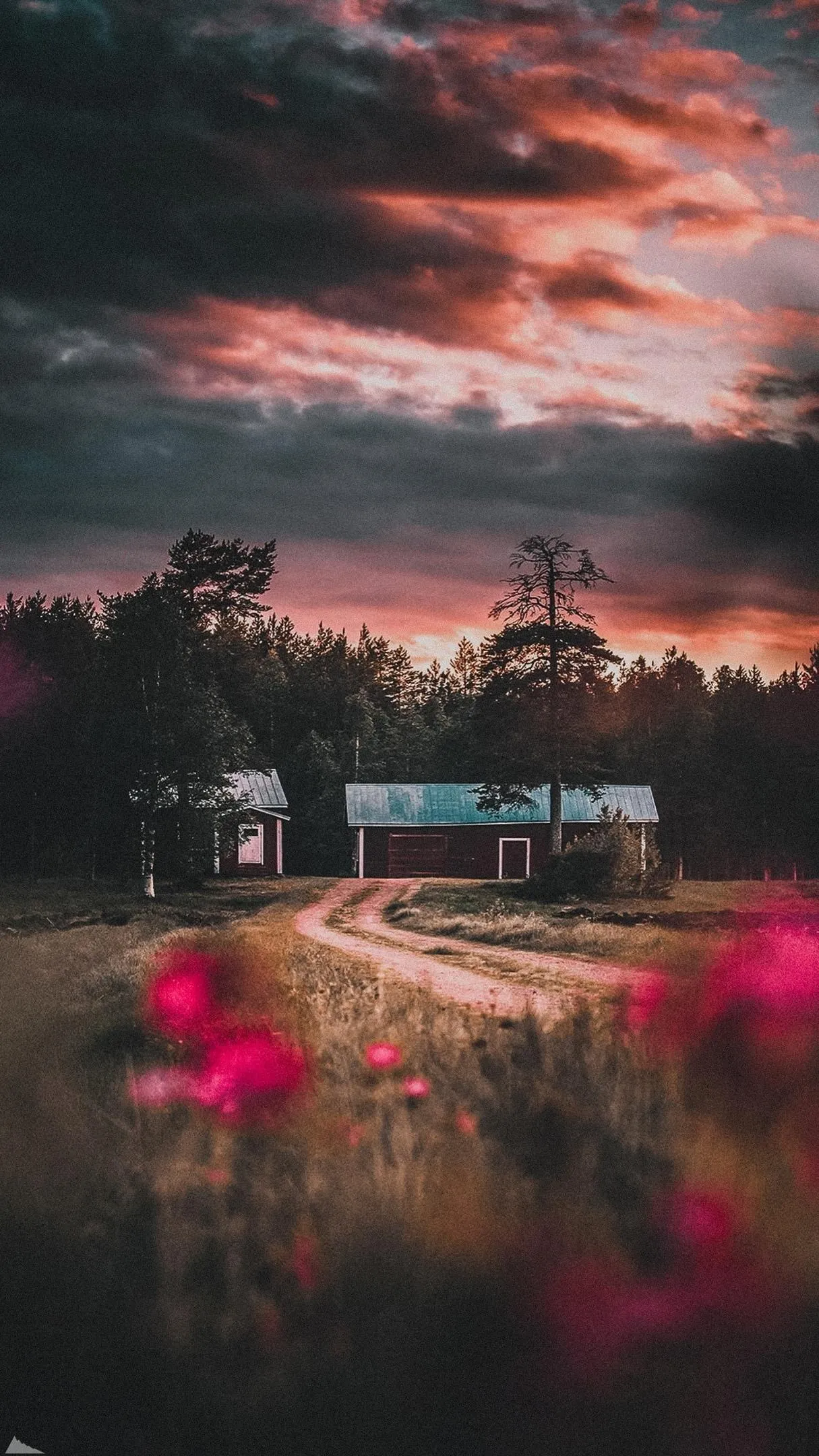 Sunset Over Countryside Cottage and Wildflowers Wallpaper