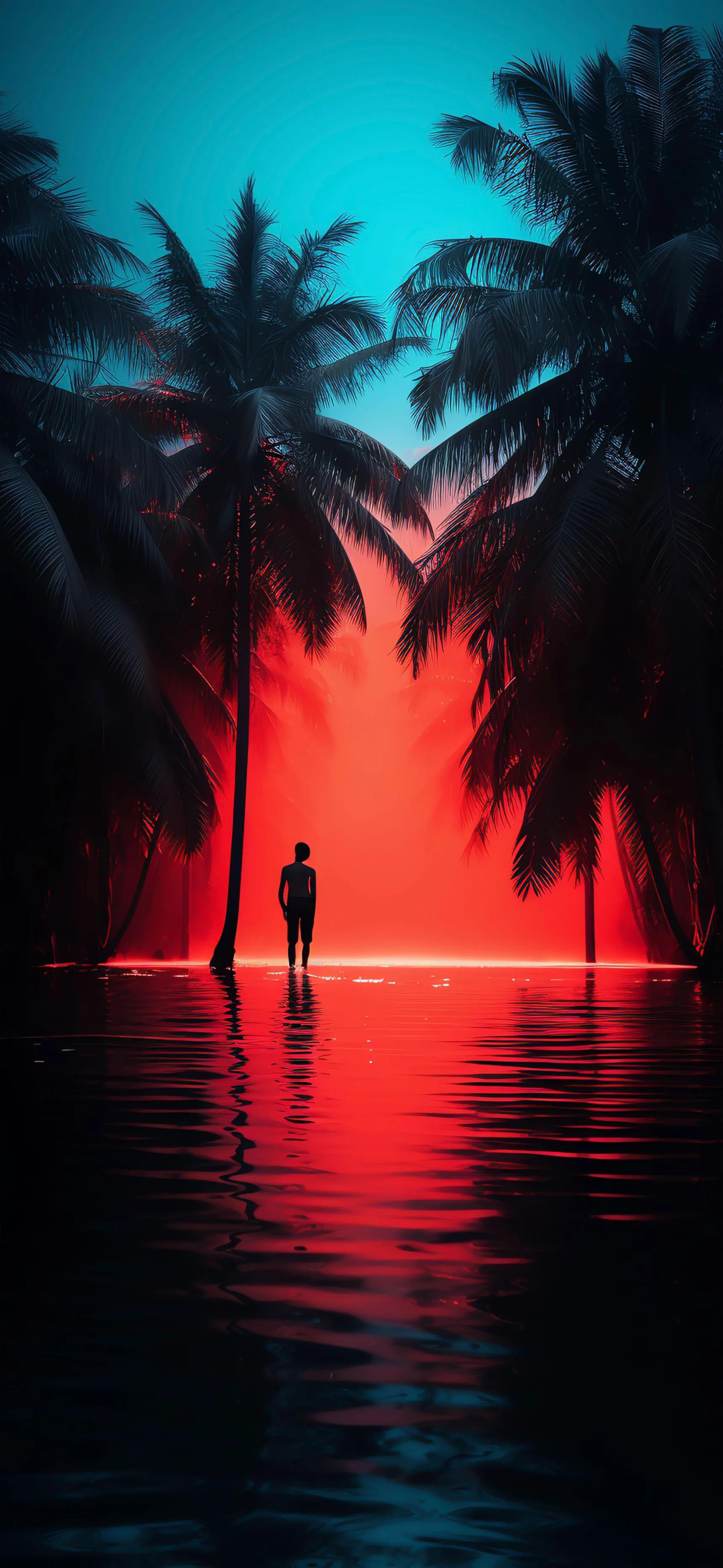 Sunset Reflected on Ocean Between Silhouetted Palms