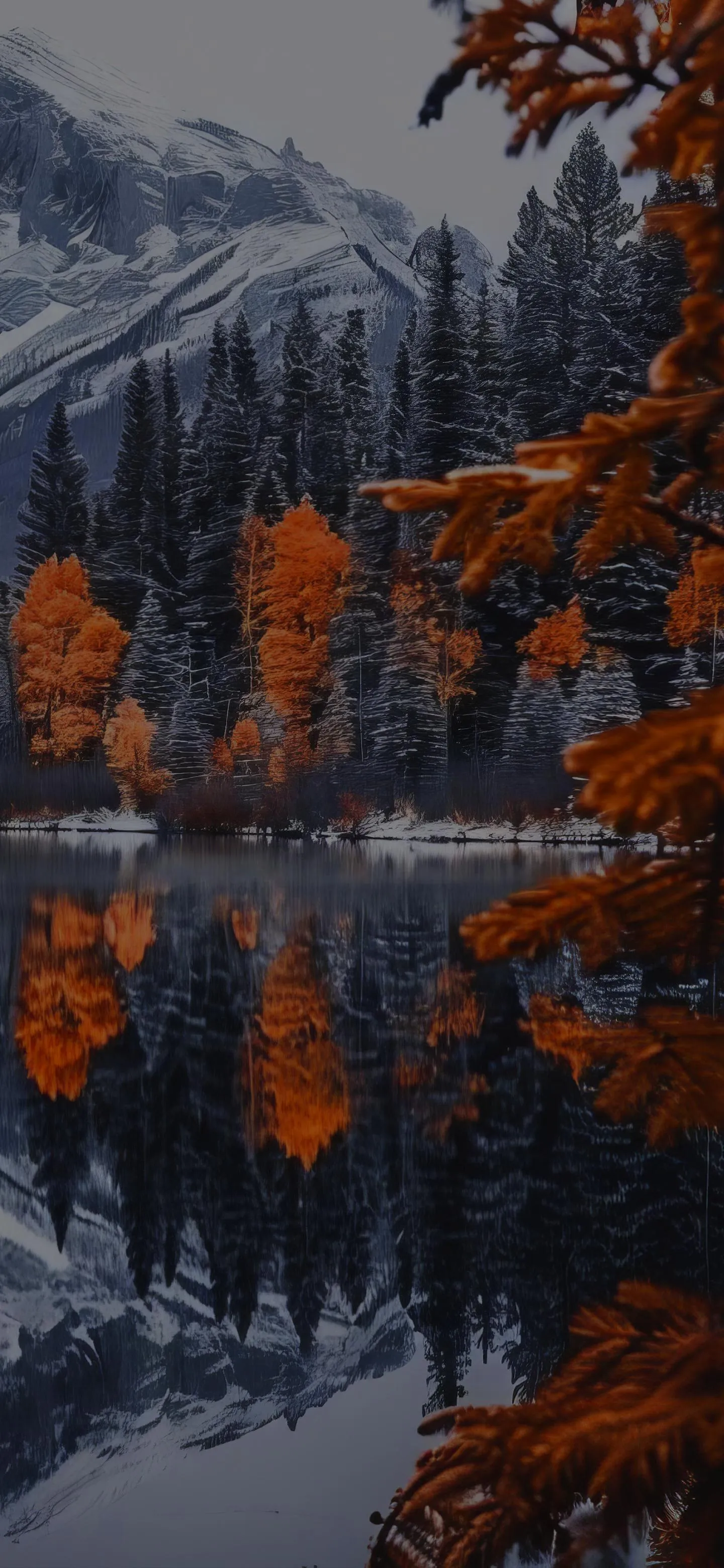 Tall Pine Trees with Autumn Leaves in Mountain Forest